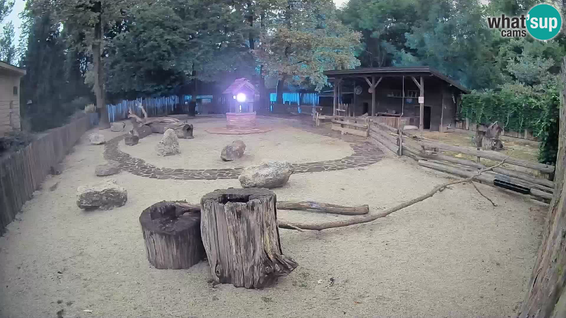 Zoo Zagreb –  Mono maicero