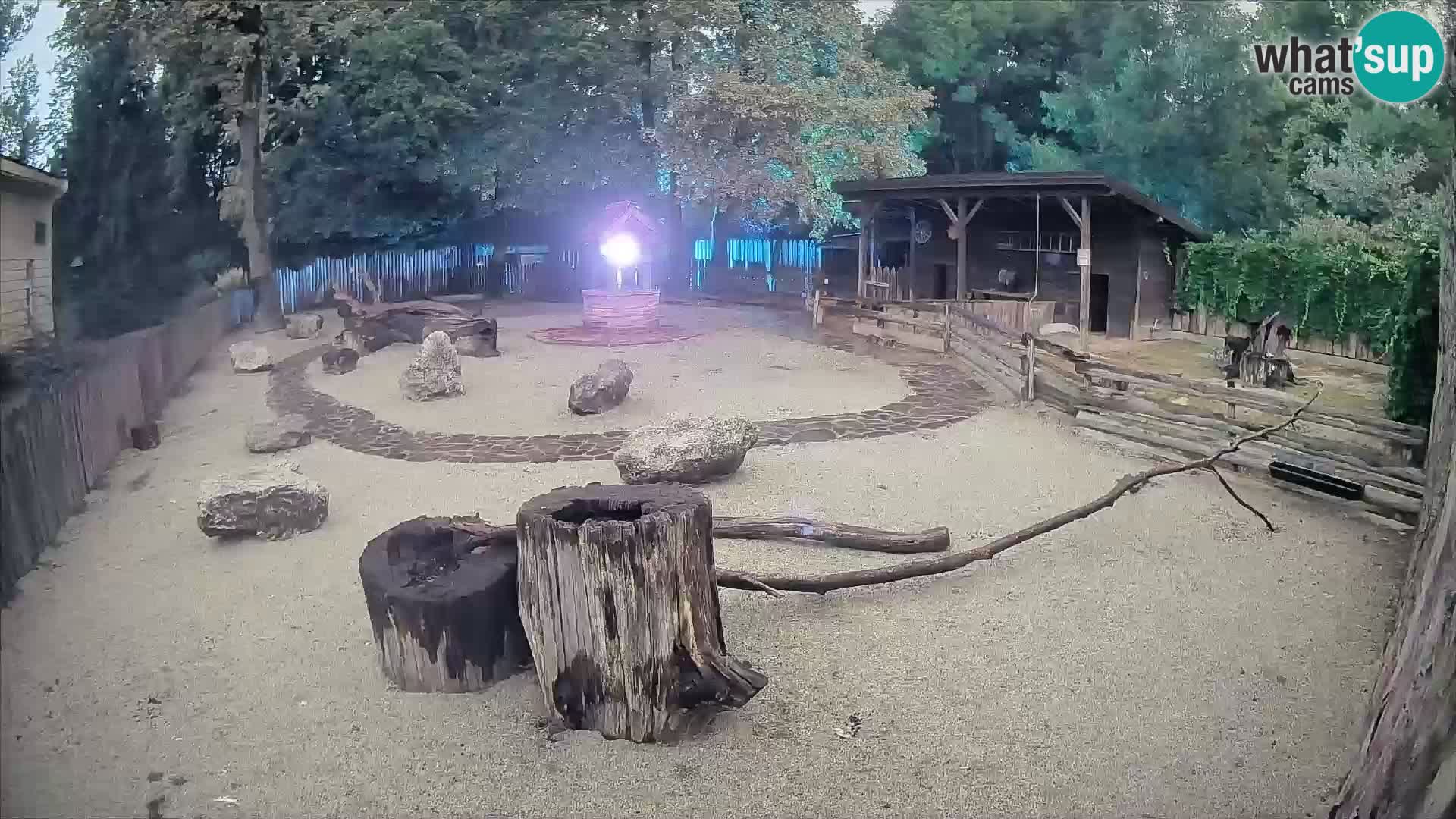 Zoo Zagreb – Cebus apella