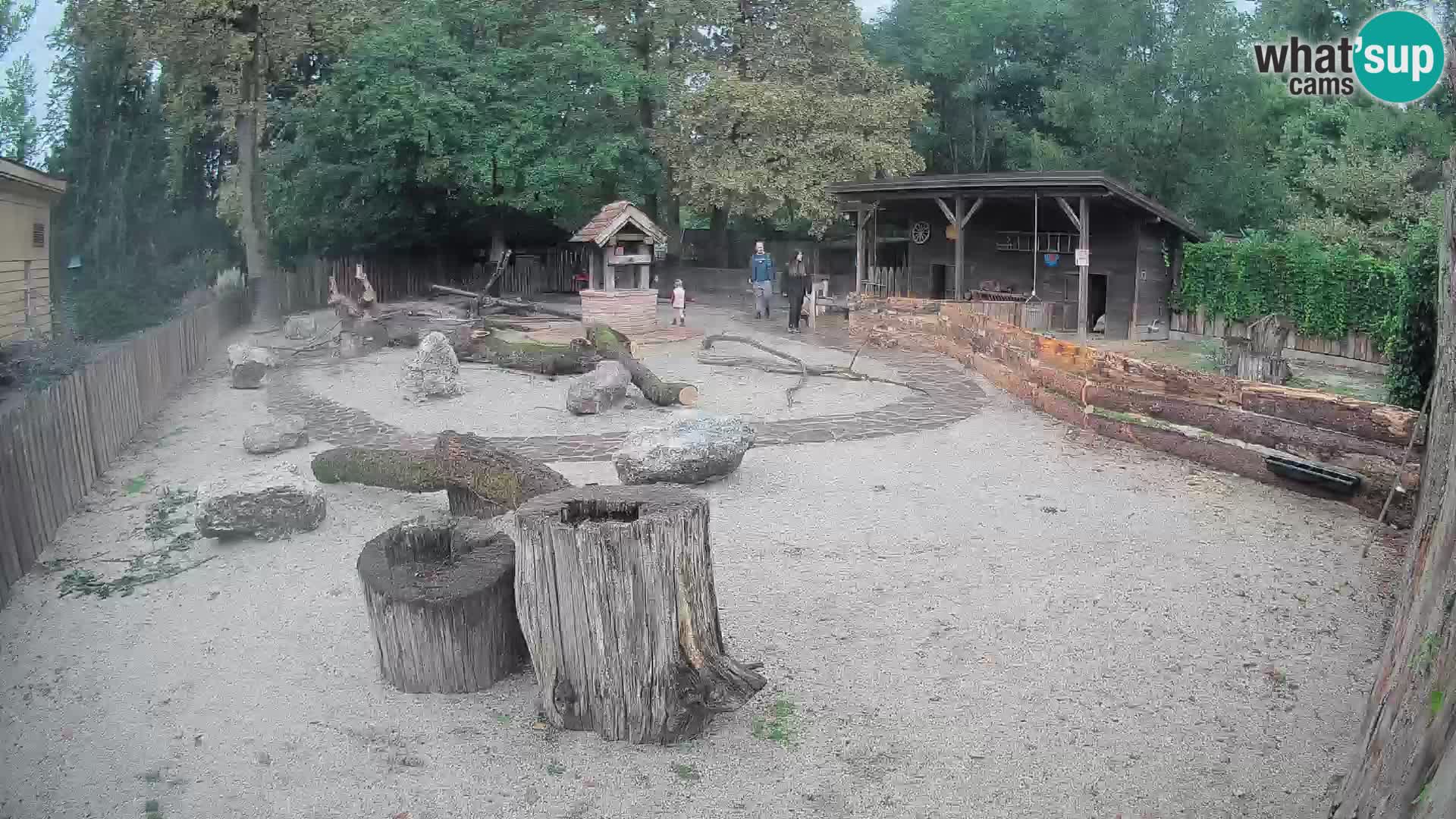 Zoo Zagreb –  Mono maicero