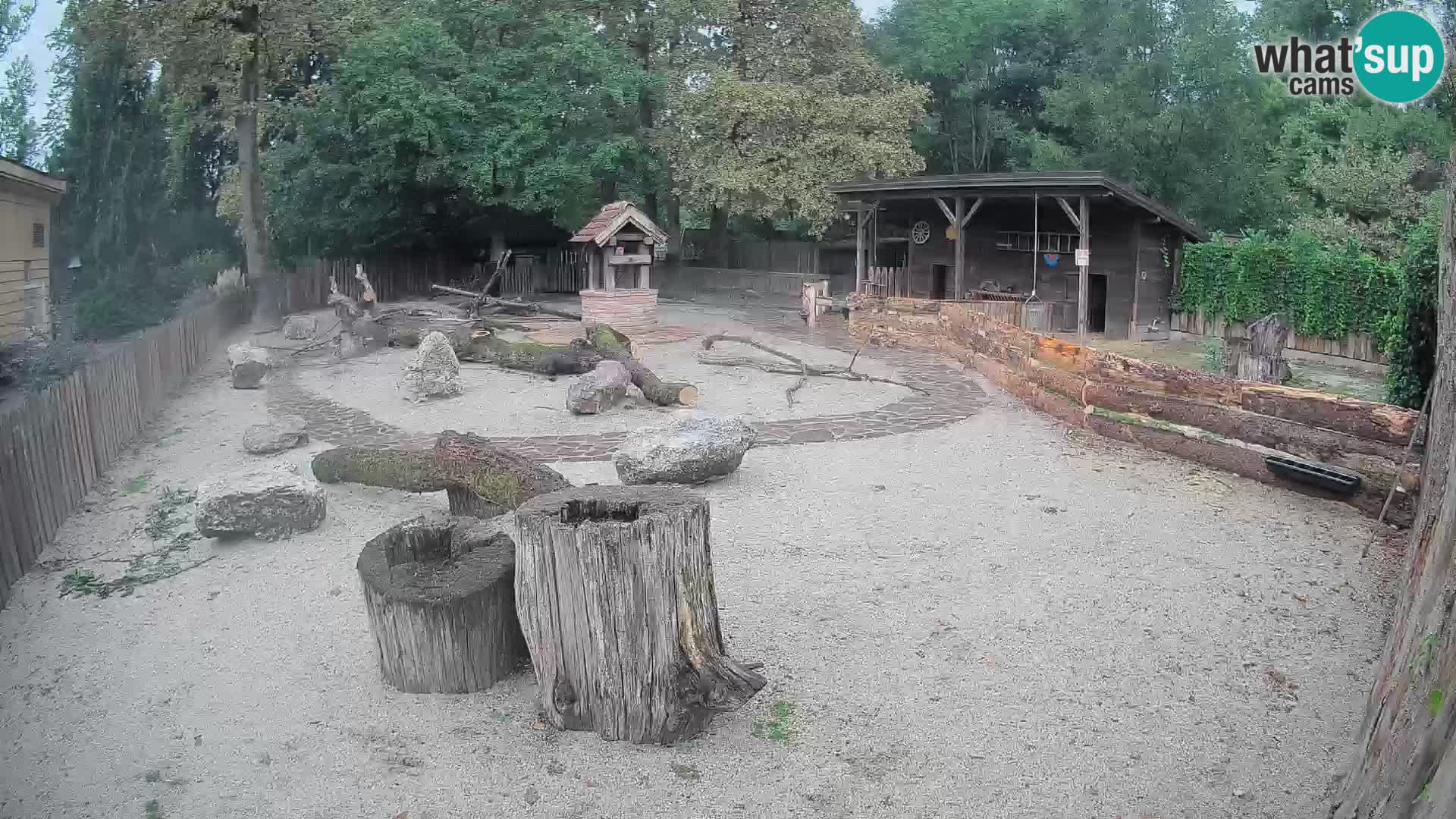 Zoo Zagreb – Haubenkapuziner