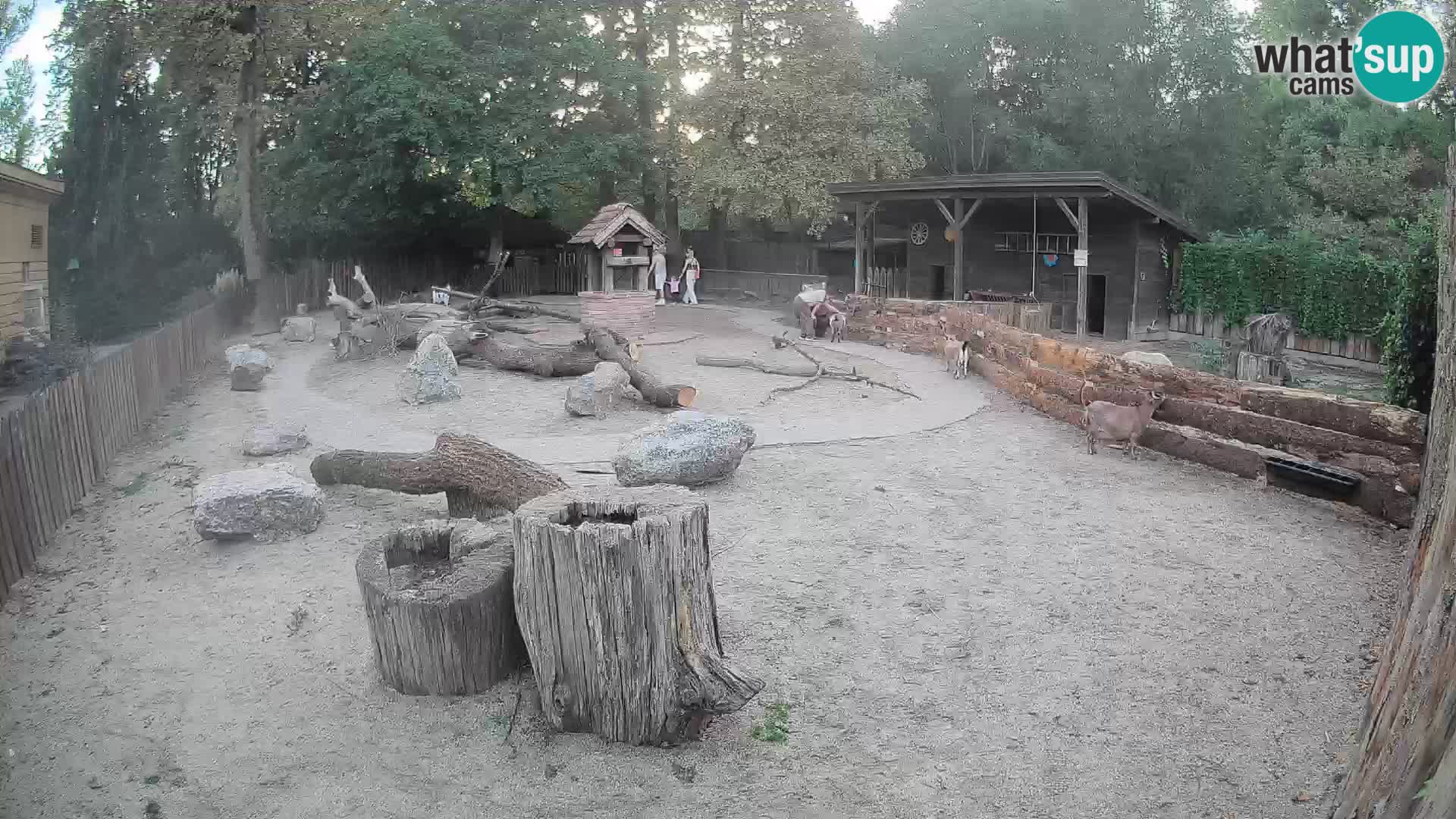Zoo Zagreb – Cebo dai cornetti