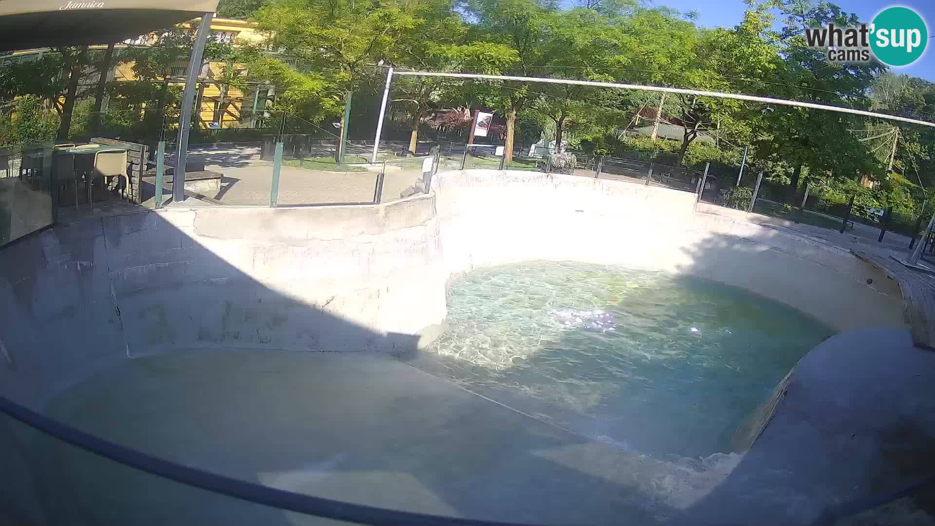 Zoo Zagreb – Kalifornijski morski lev