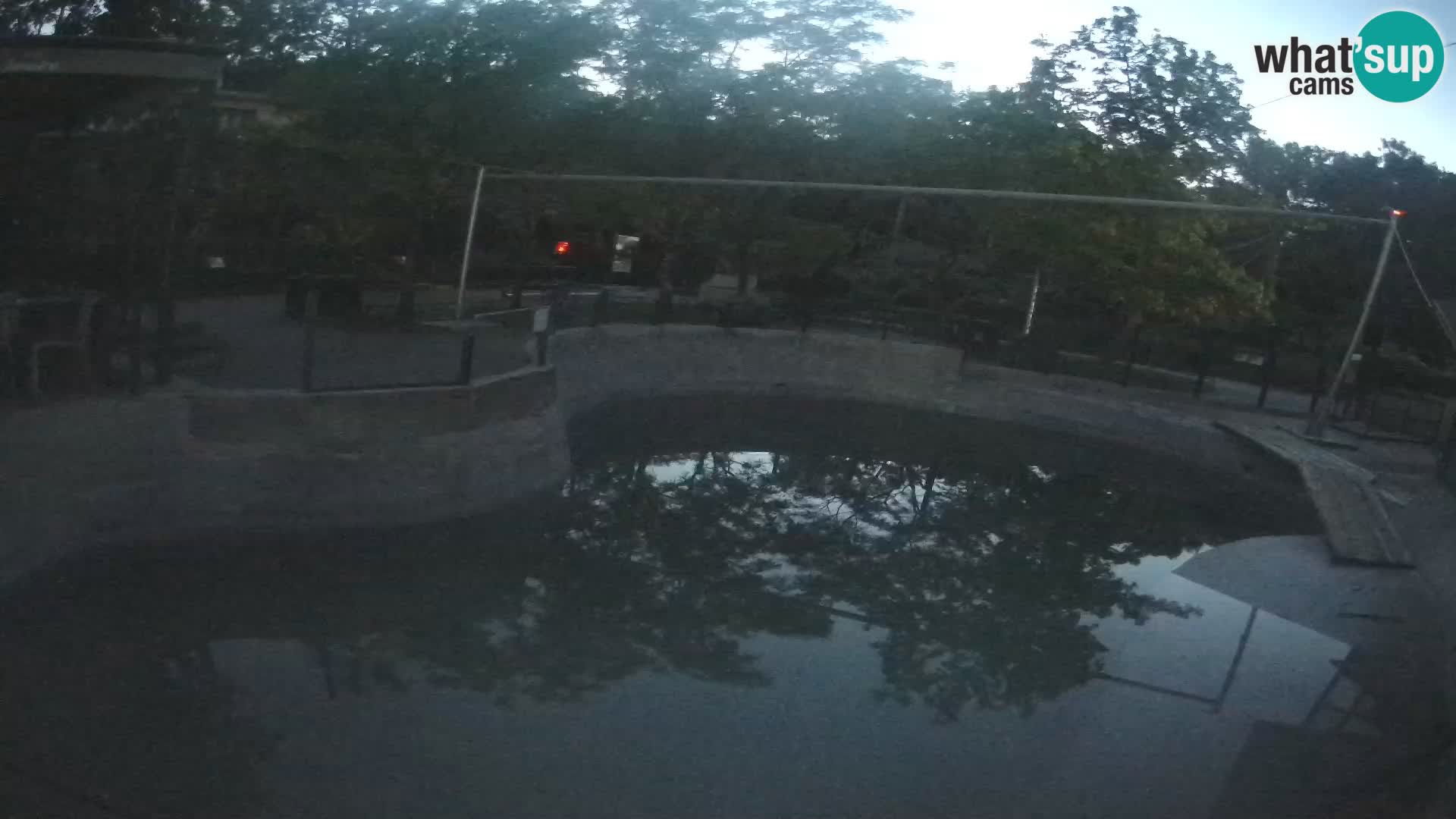 Zoo Zagreb – Kalifornijski morski lev