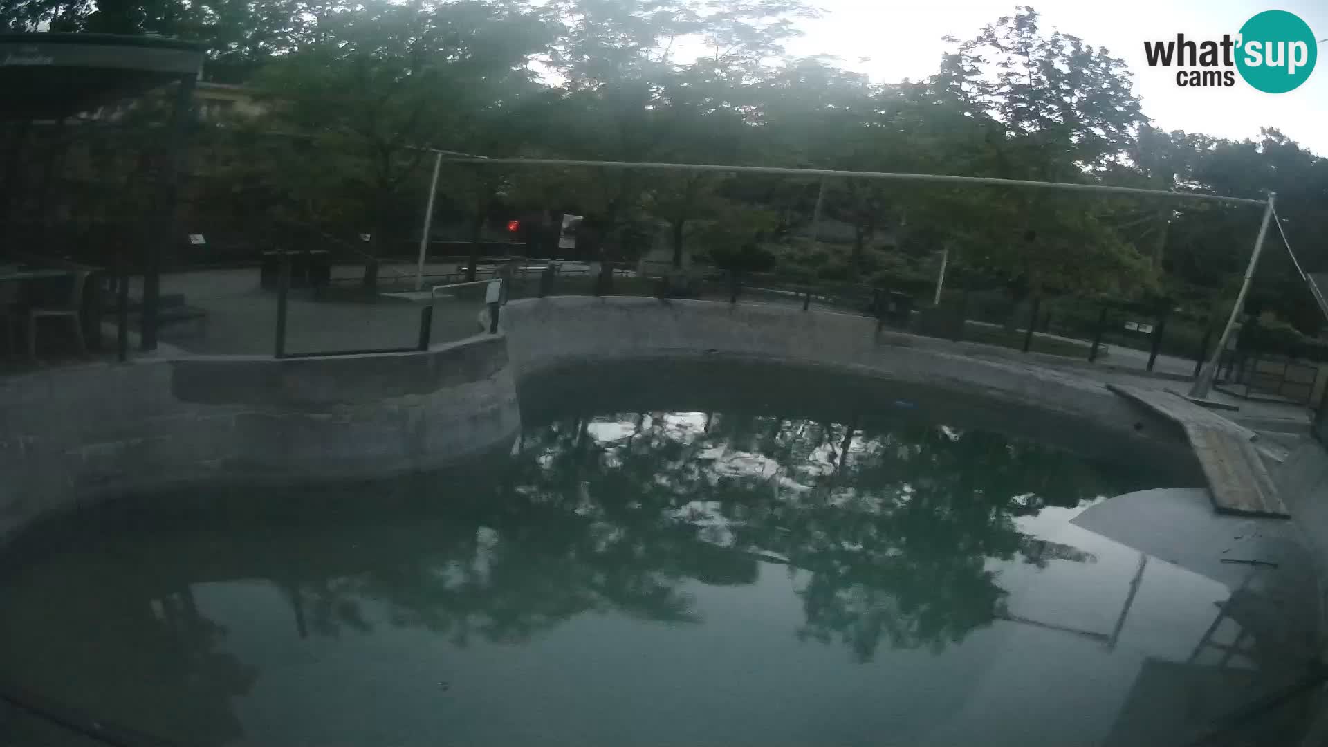 Zoo Zagreb – Kalifornijski morski lev