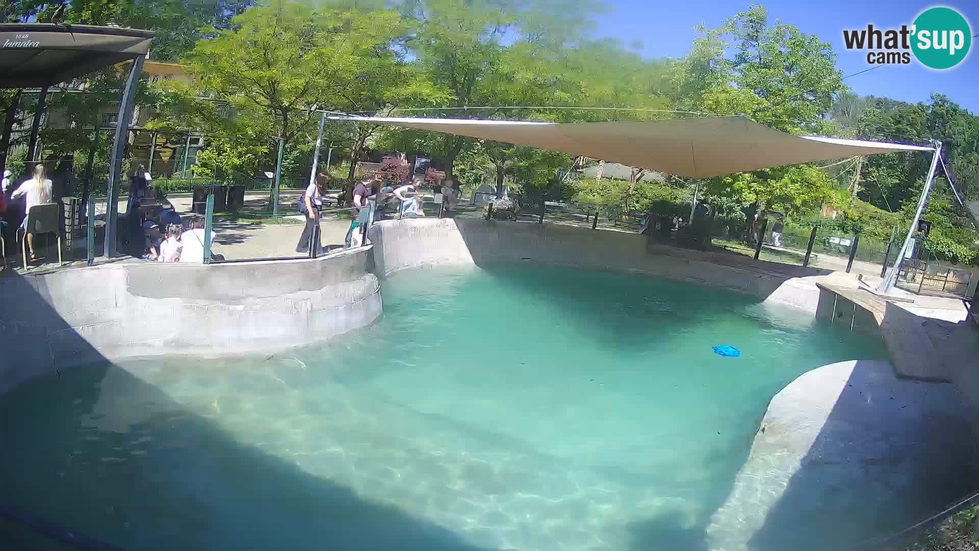 Zoo Zagreb – Kalifornijski morski lav