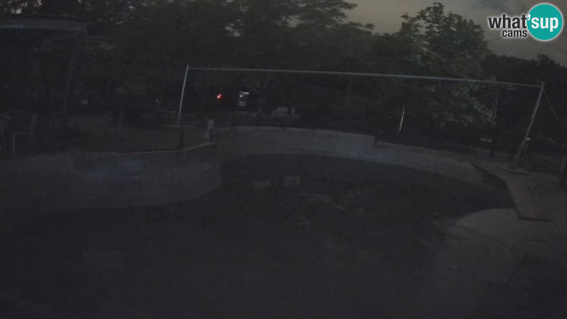 Zoo Zagreb – Kalifornijski morski lav