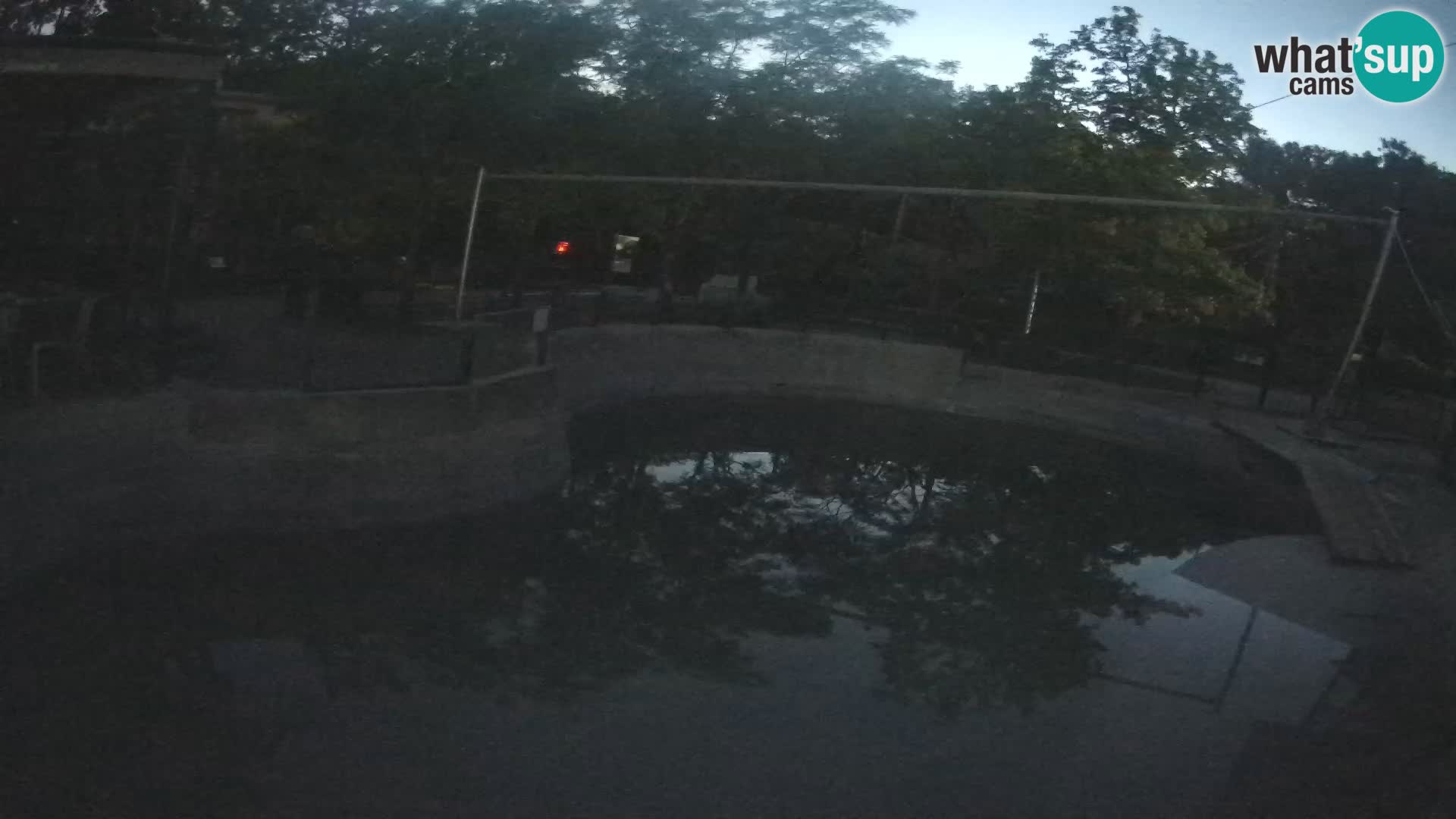 Zoo Zagreb – Kalifornijski morski lev