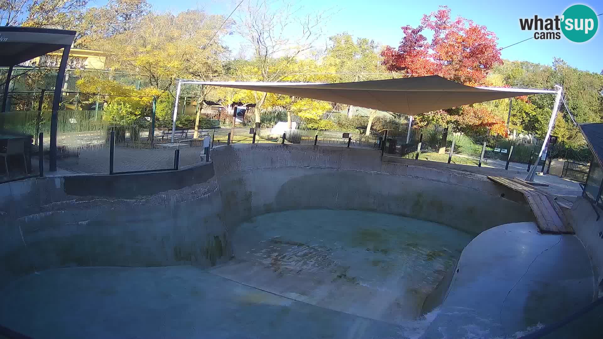 Zoo Zagreb – California Sea Lion