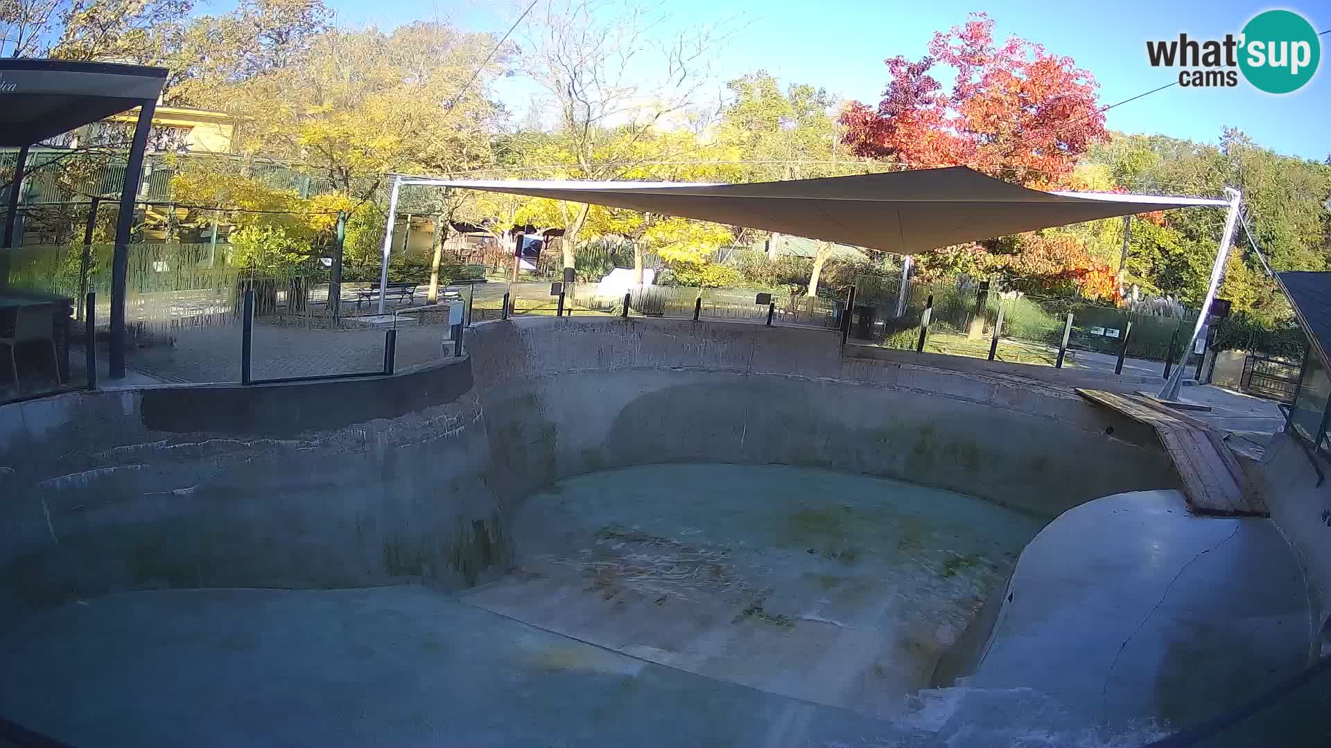 Zoo Zagreb – California Sea Lion