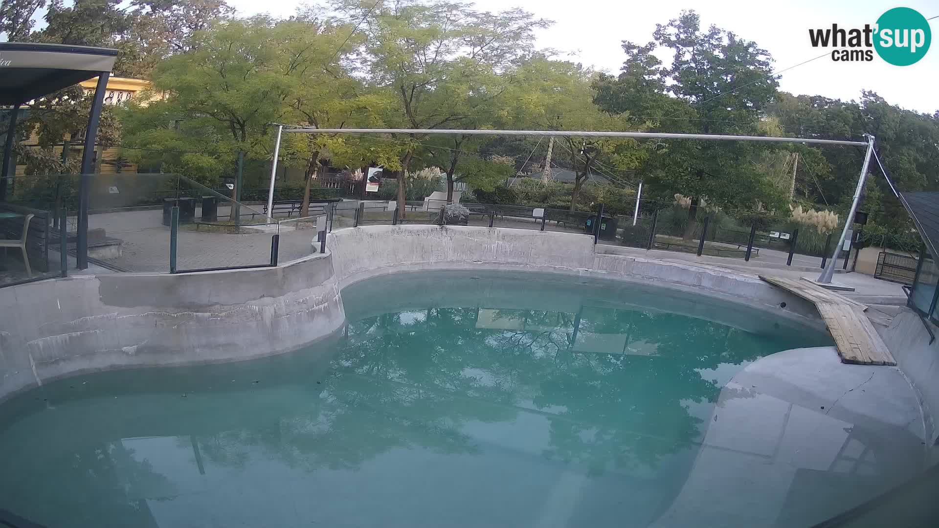 Zoo Zagreb – California Sea Lion