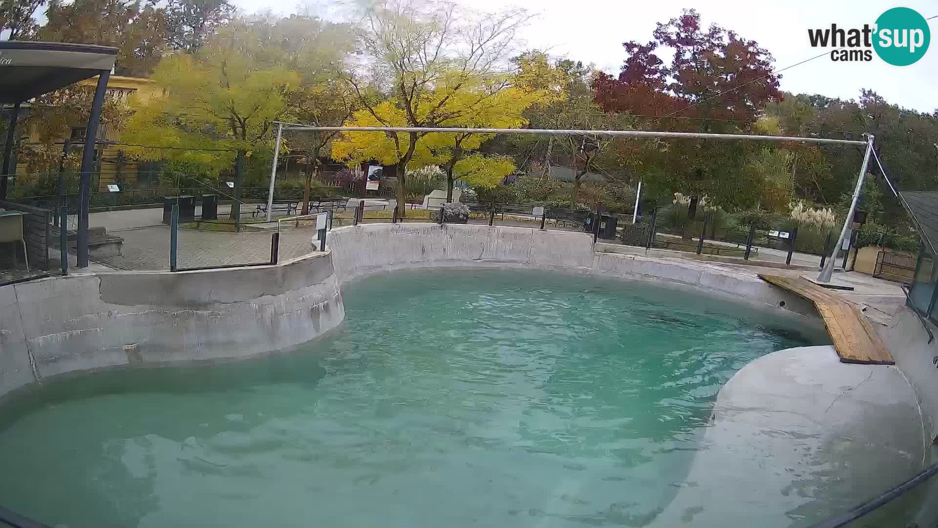 Zoo Zagreb – California Sea Lion