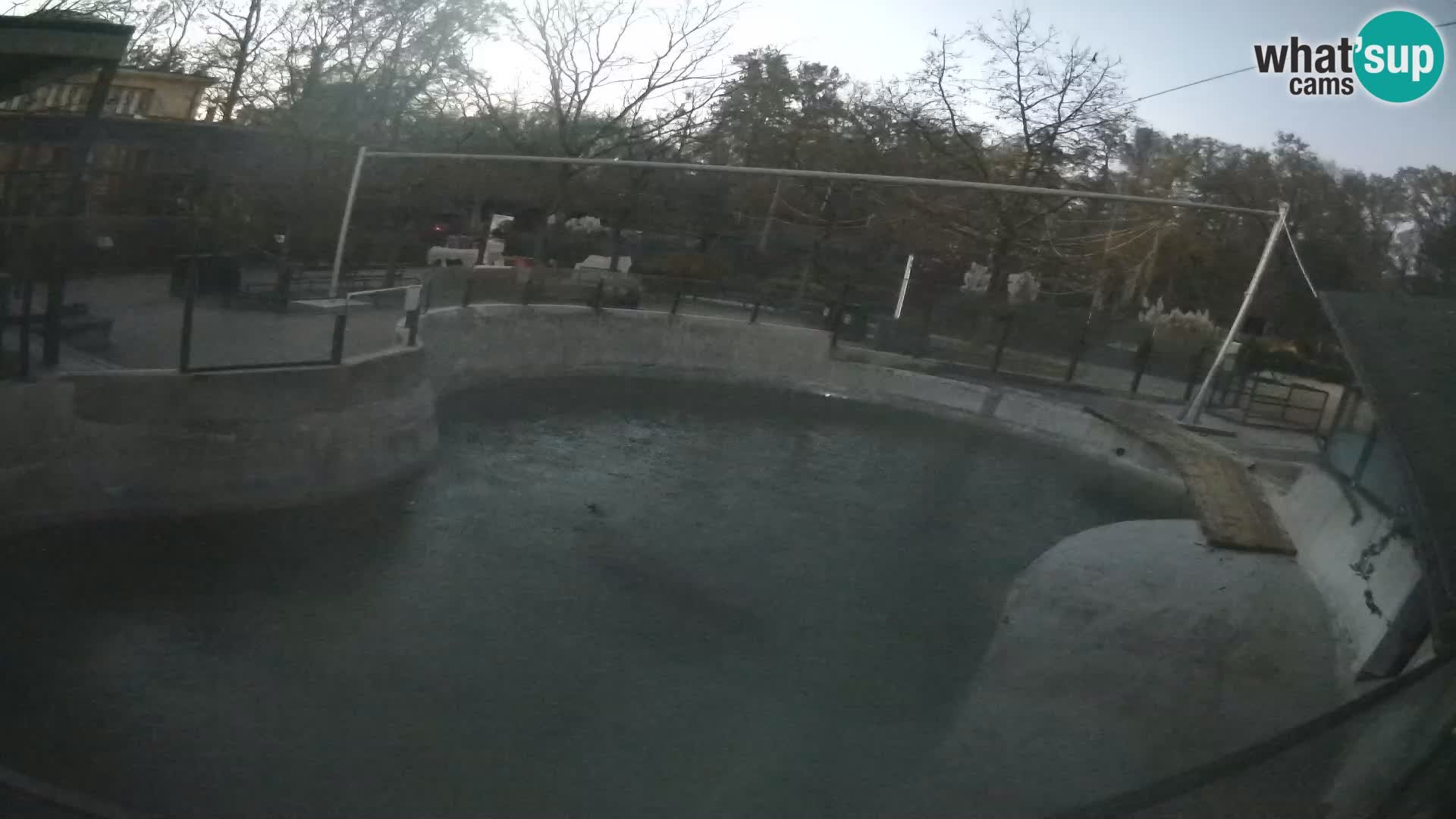 Zoo Zagreb –  León marino de California