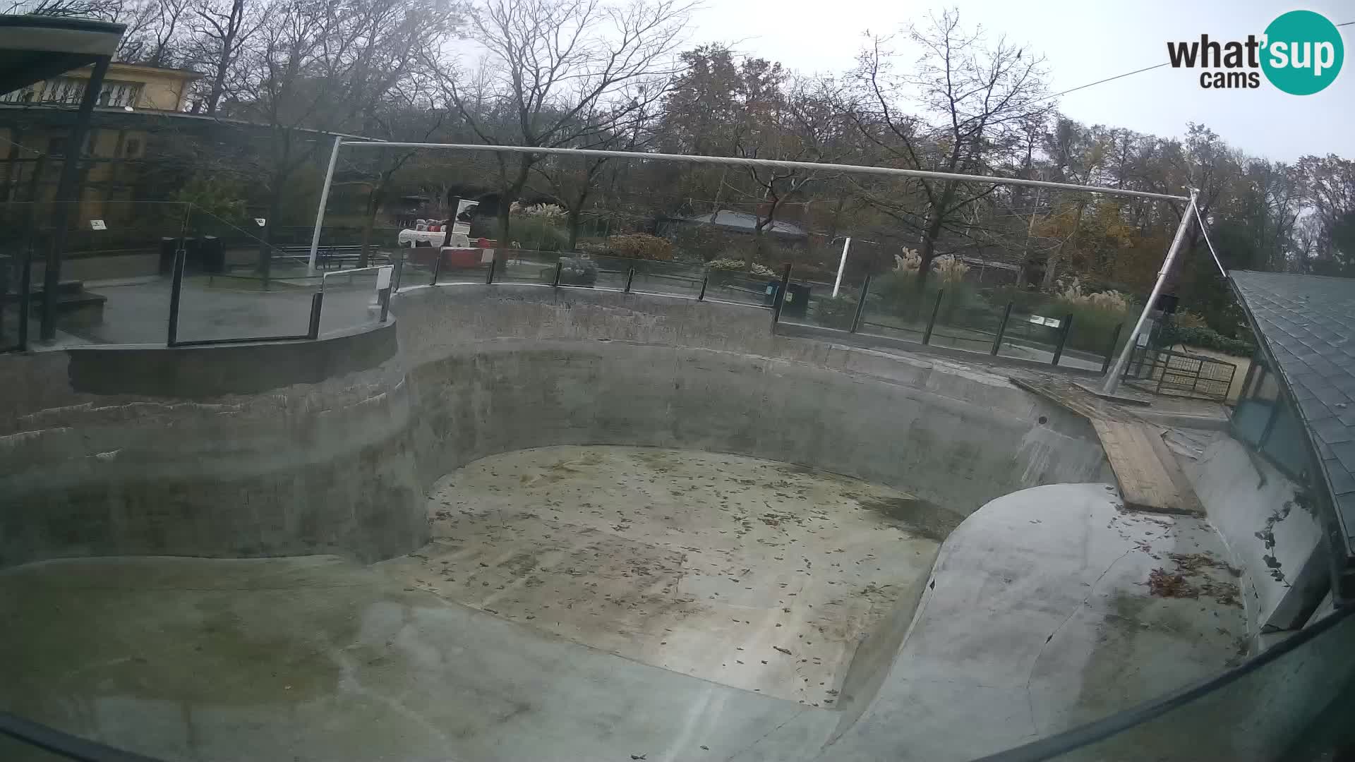 Zoo Zagreb – Kalifornijski morski lav