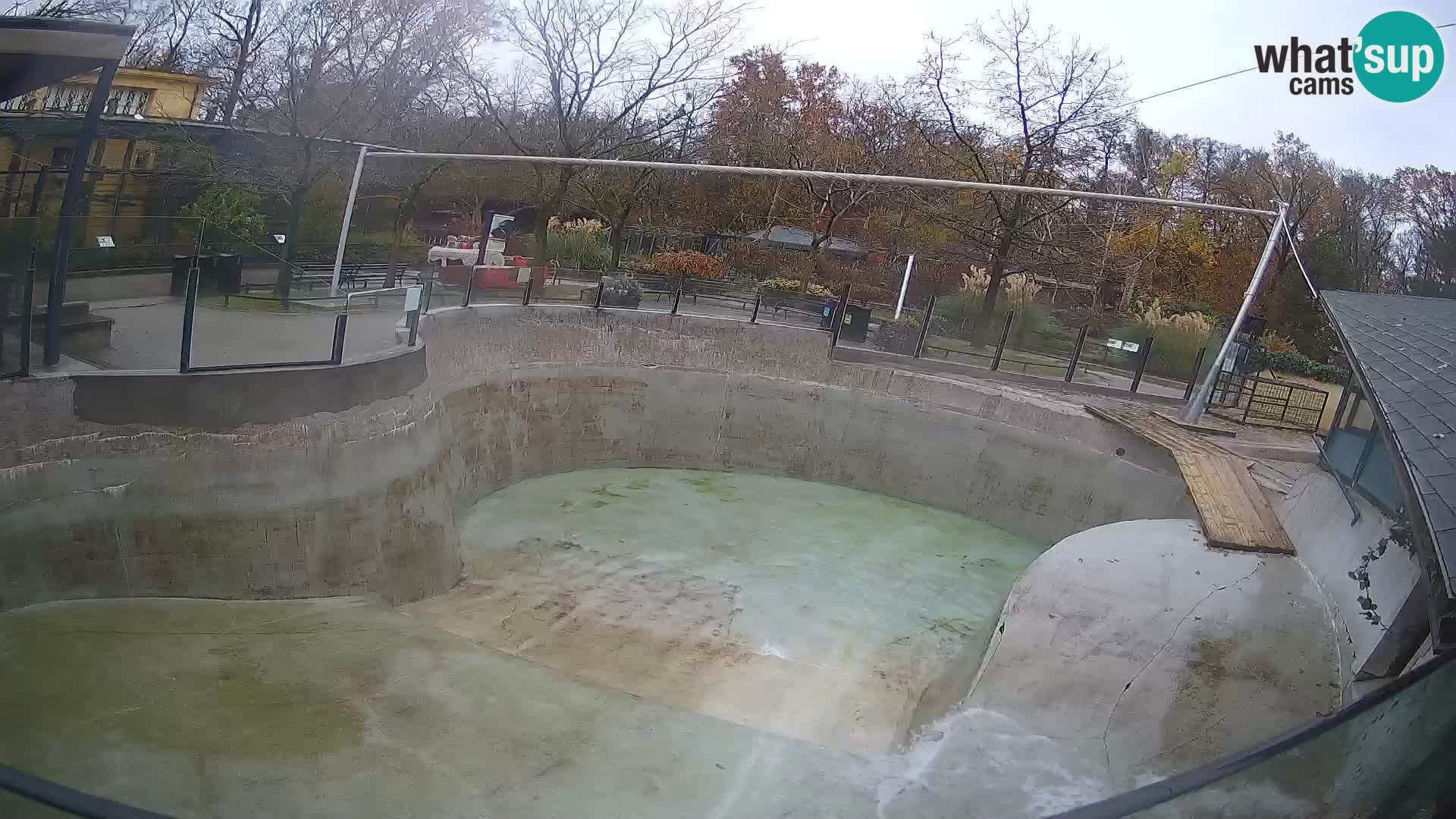 Zoo Zagreb –  León marino de California