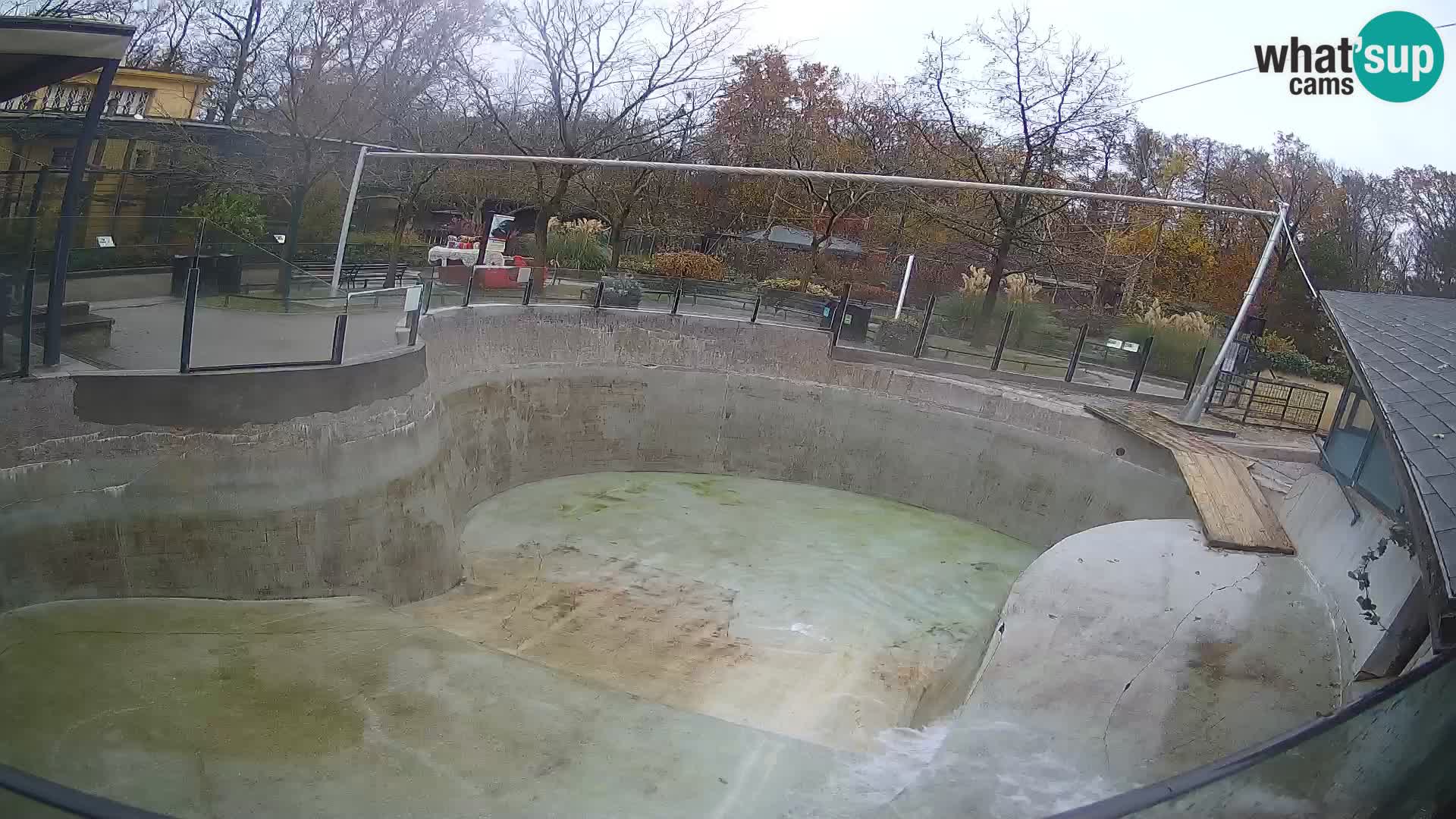 Zoo Zagreb –  León marino de California