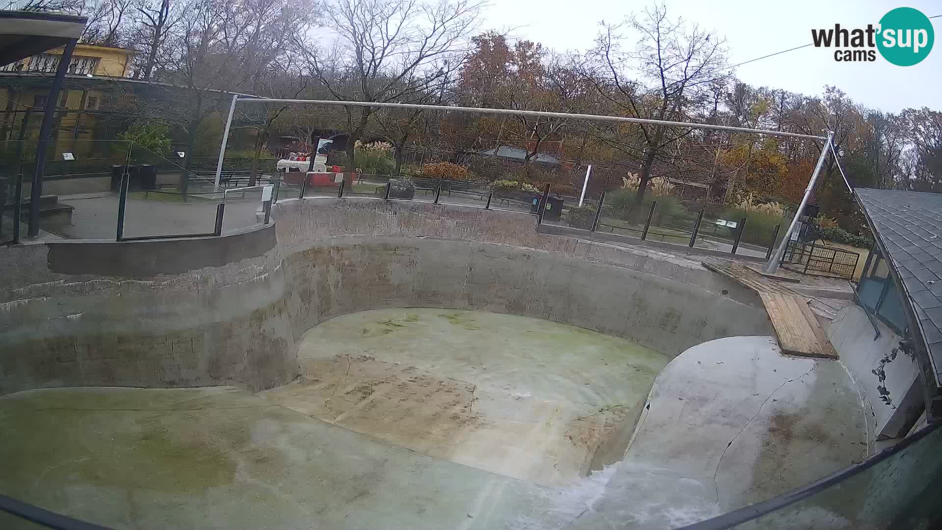 Zoo Zagreb –  León marino de California