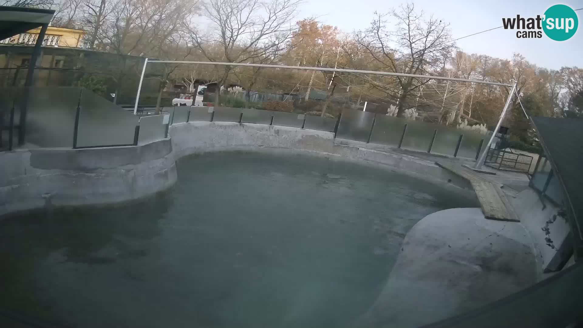 Zoo Zagreb –  León marino de California