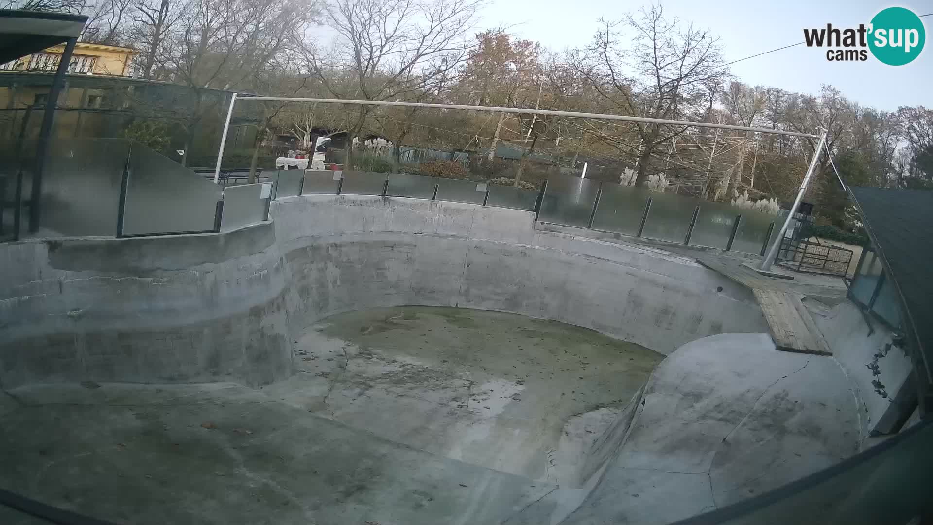 Zoo Zagreb – Kalifornijski morski lav