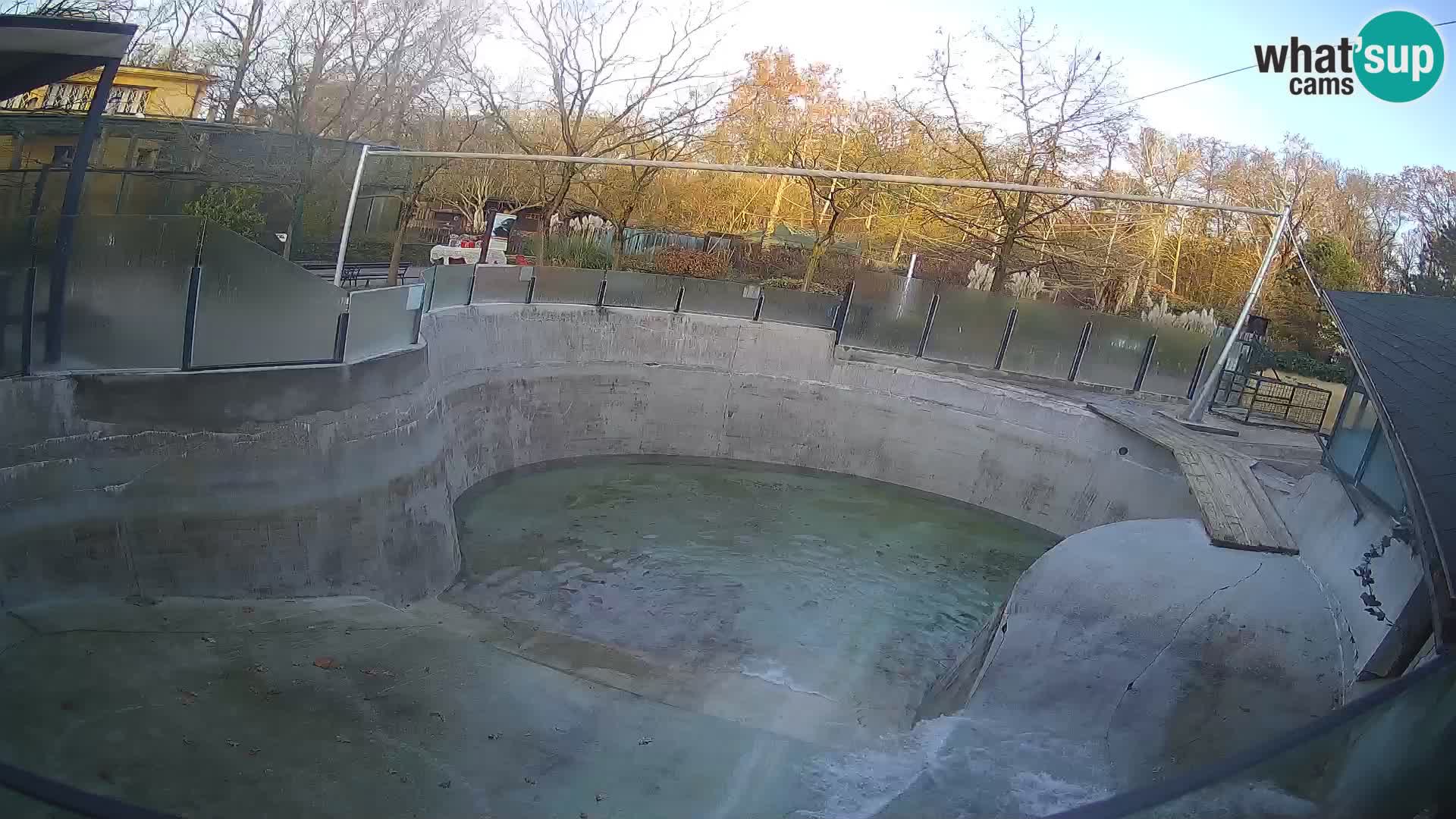 Zoo Zagreb –  León marino de California