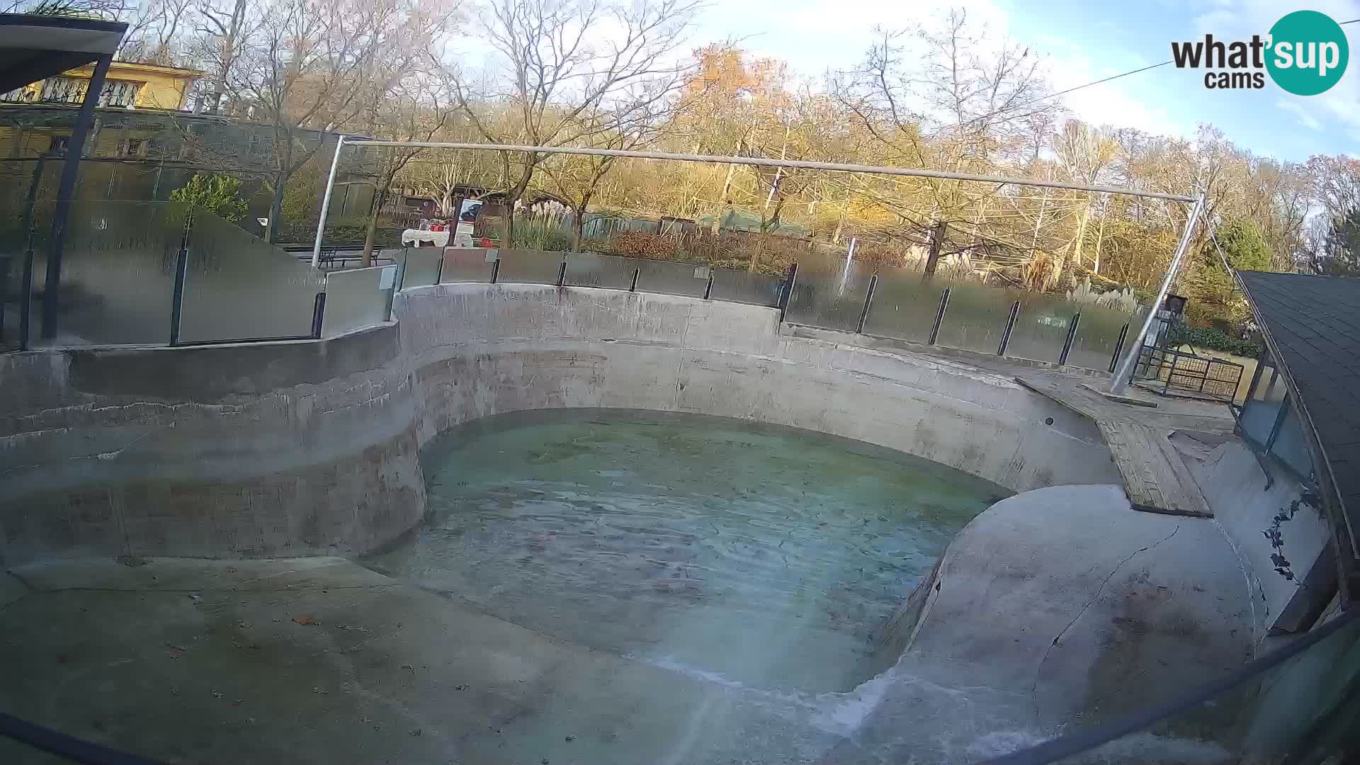 Zoo Zagreb – Kalifornischer Seelöwe