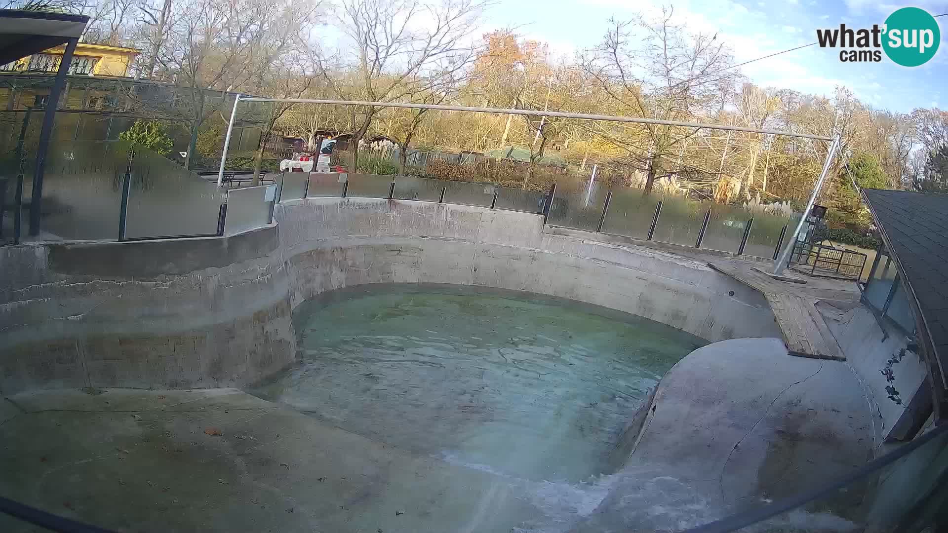 Zoo Zagreb –  León marino de California