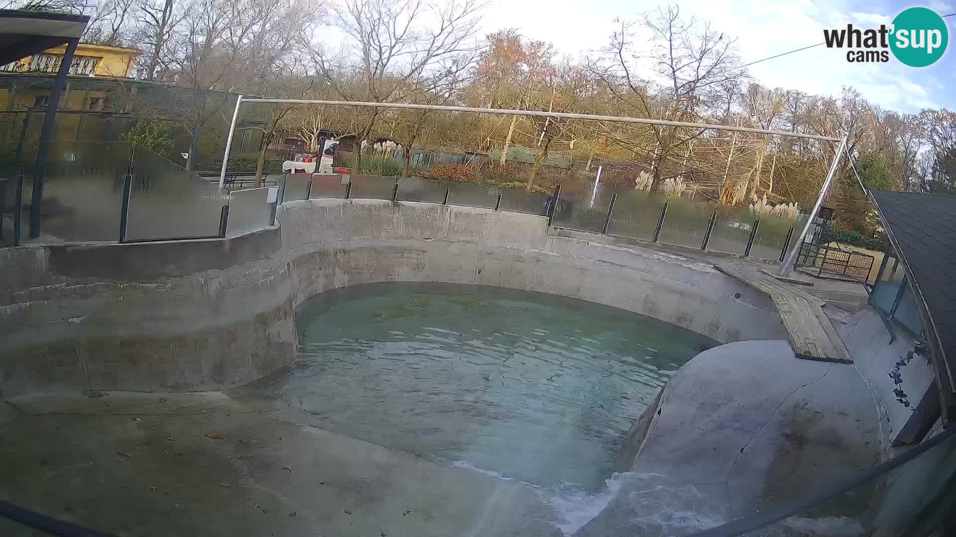 Zoo Zagreb –  León marino de California