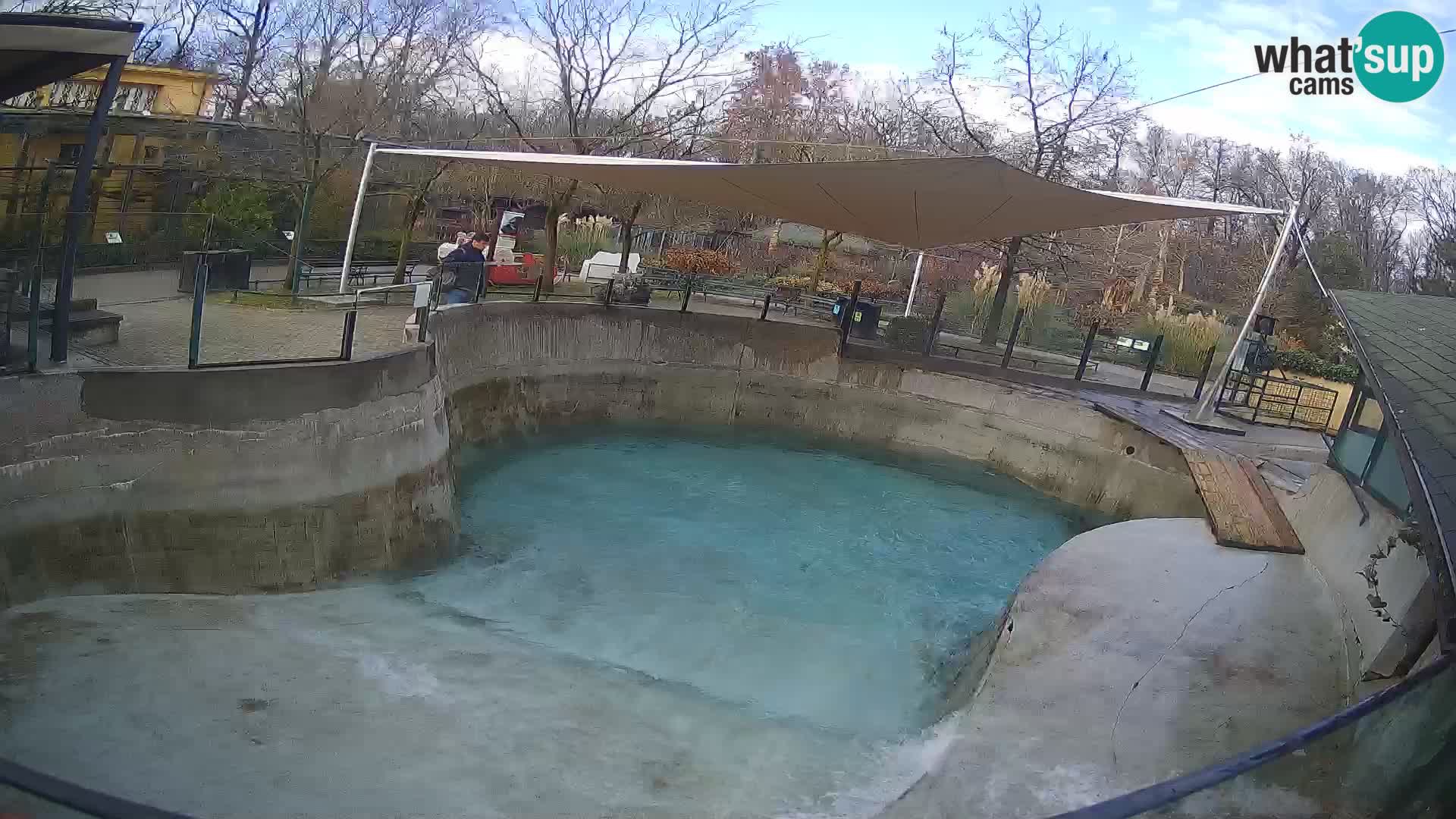 Zoo Zagreb –  León marino de California