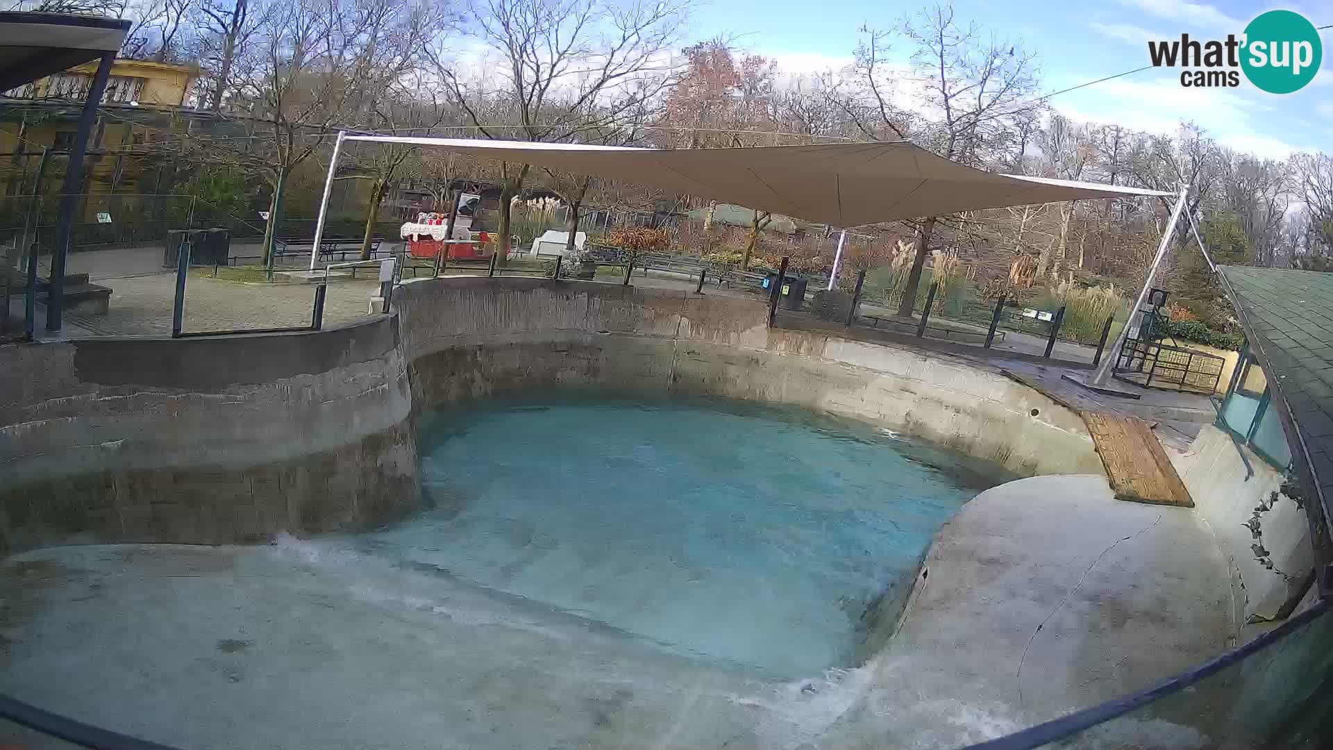 Zoo Zagreb –  León marino de California