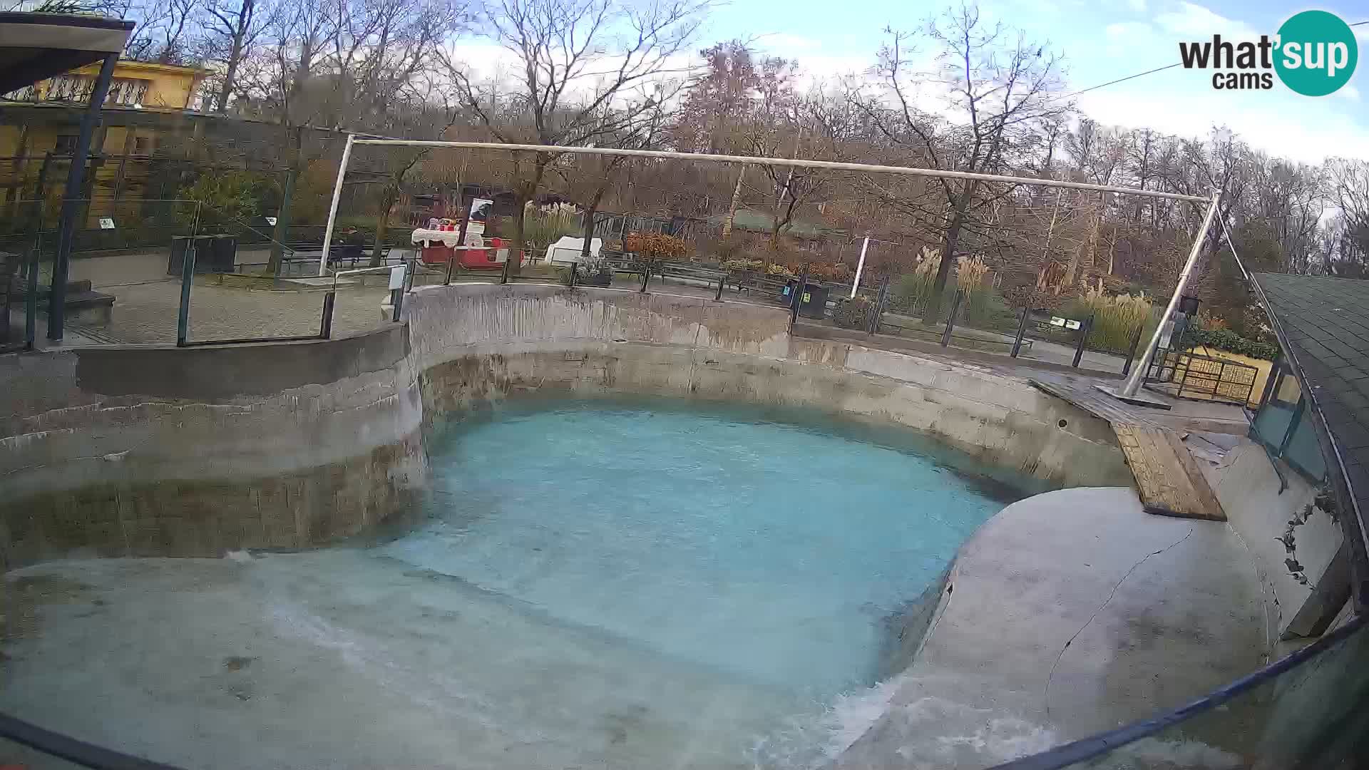 Zoo Zagreb –  León marino de California