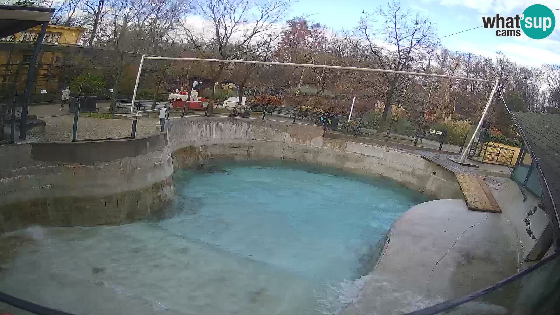 Zoo Zagreb –  León marino de California