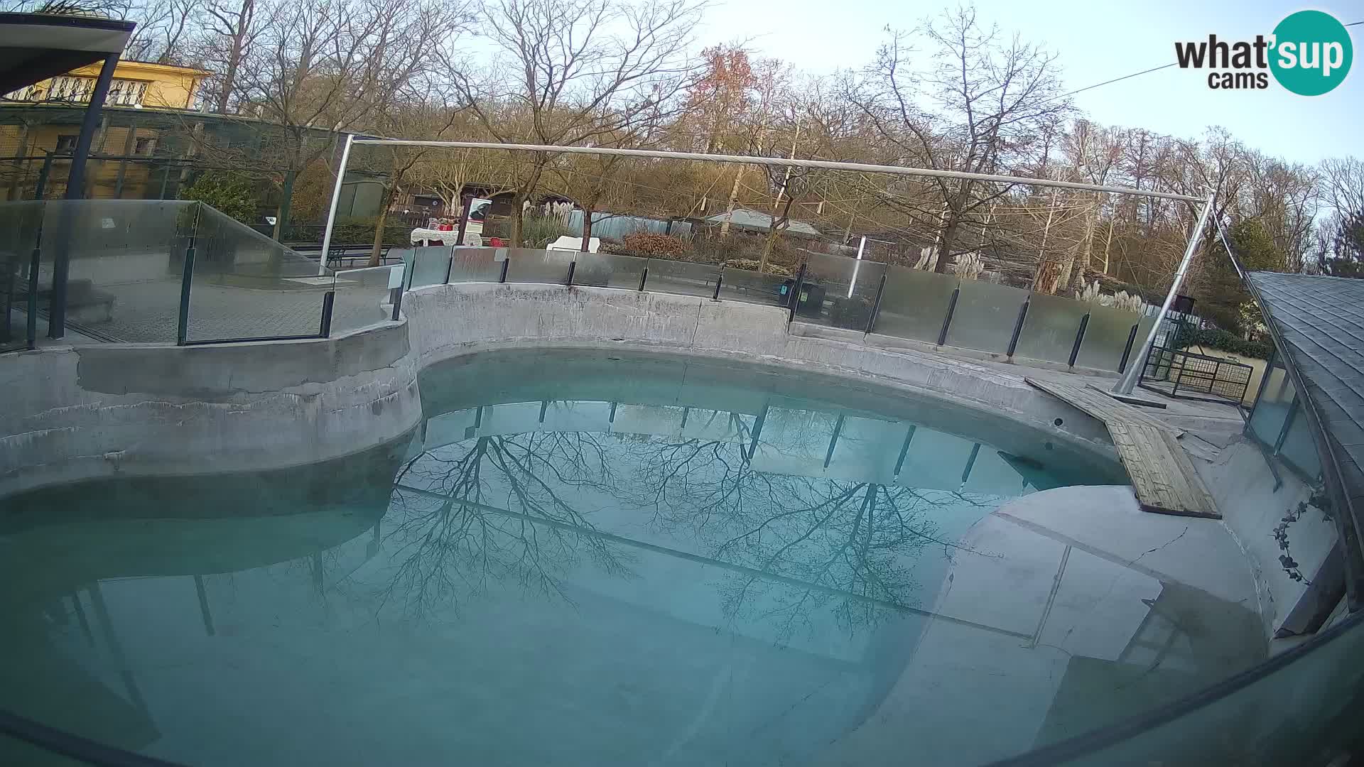 Zoo Zagreb –  León marino de California