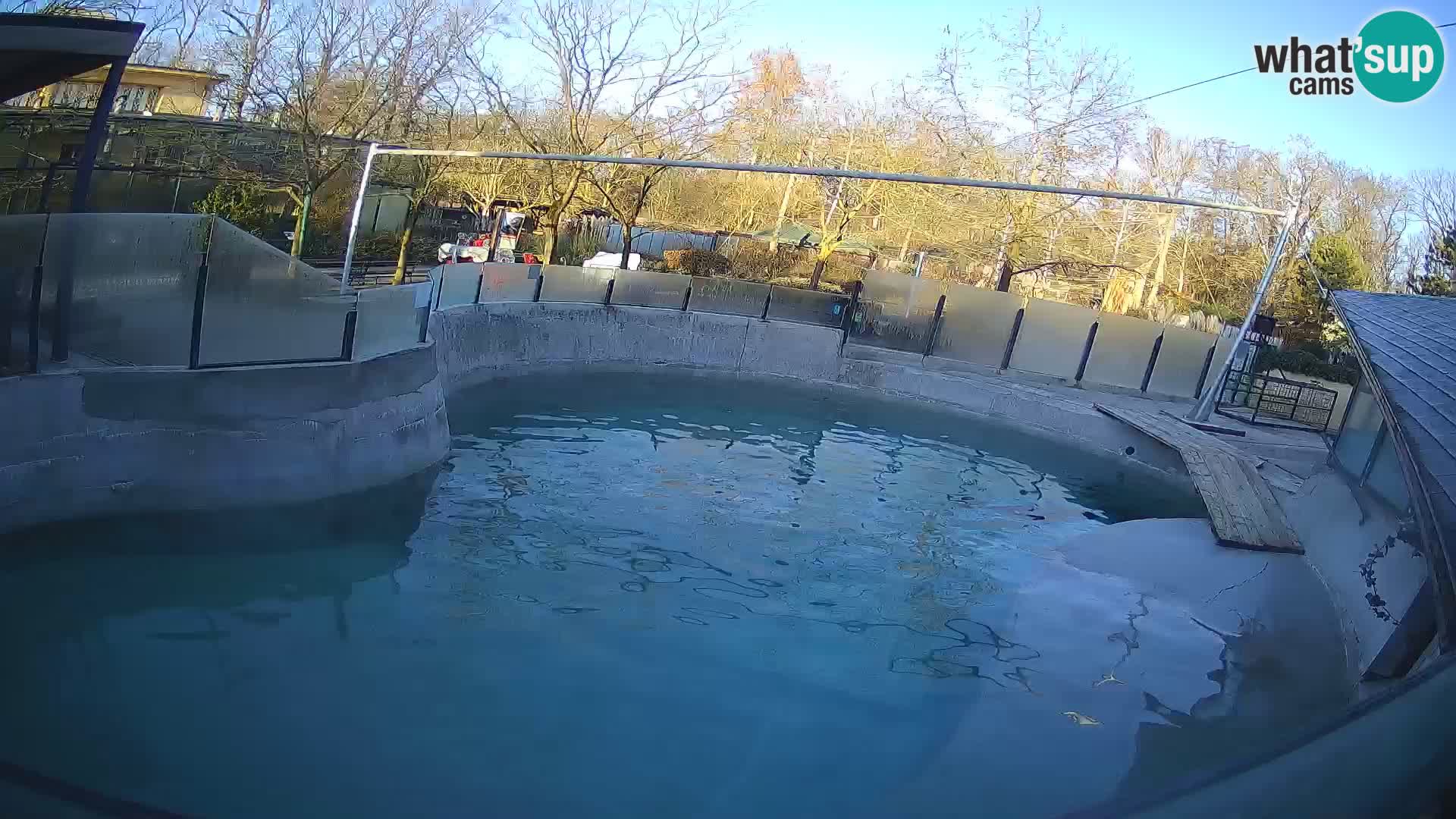 Zoo Zagreb –  León marino de California