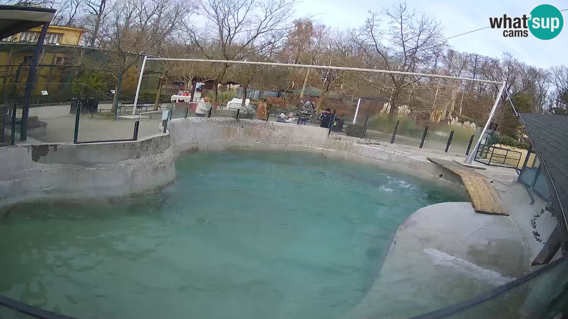 Zoo Zagreb – California Sea Lion