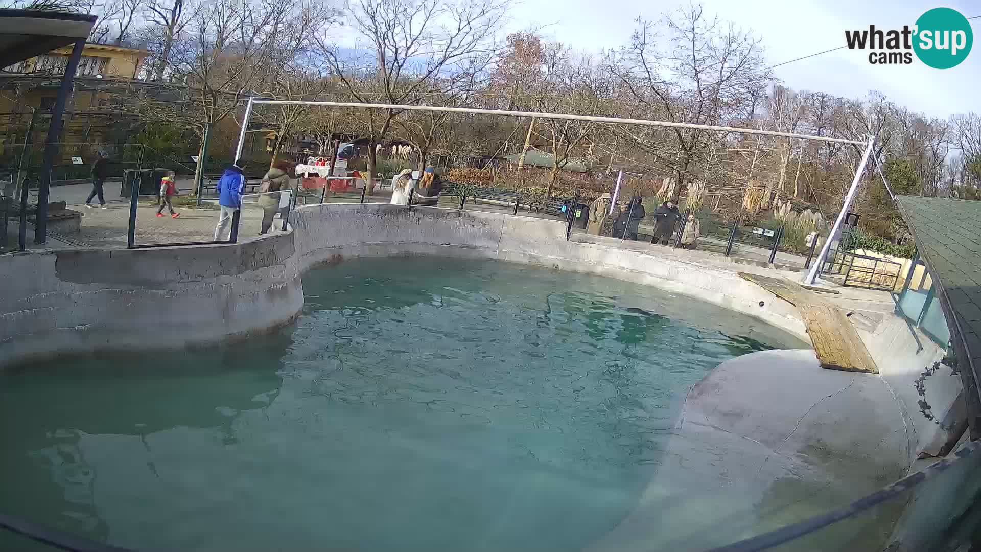 Zoo Zagreb –  León marino de California