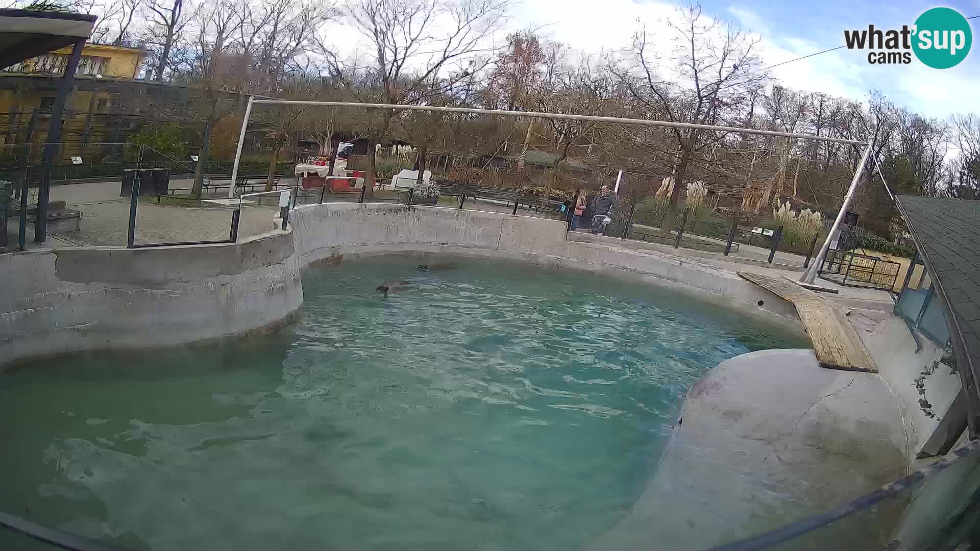 Zoo Zagreb – California Sea Lion