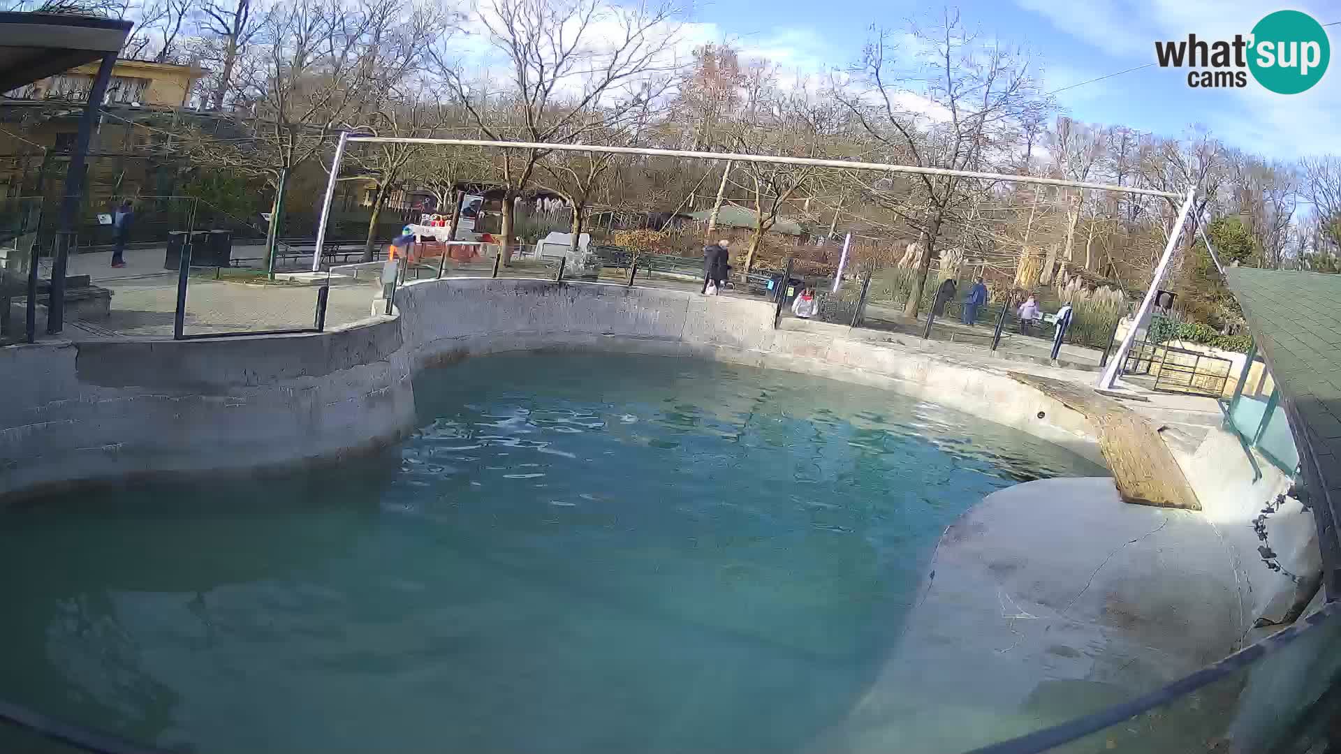 Zoo Zagreb – California Sea Lion