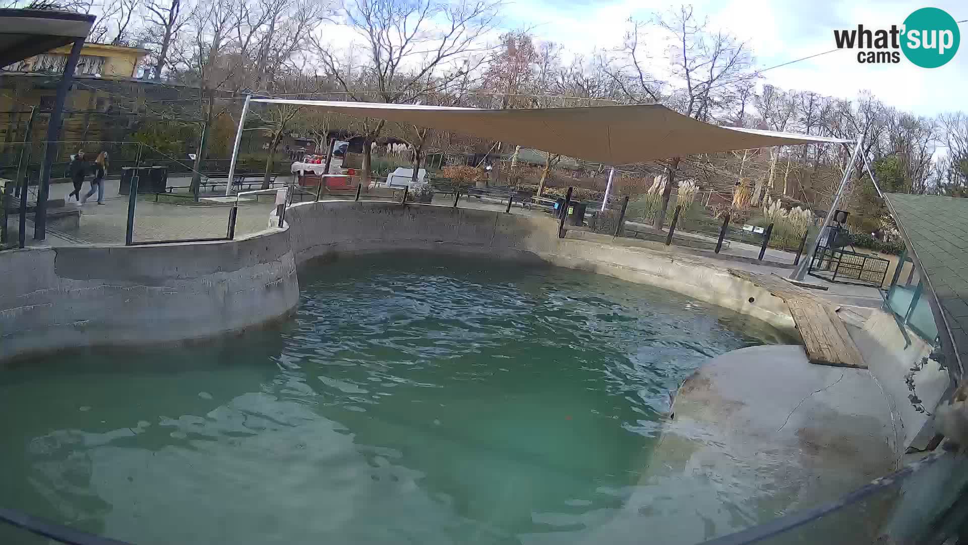 Zoo Zagreb – California Sea Lion