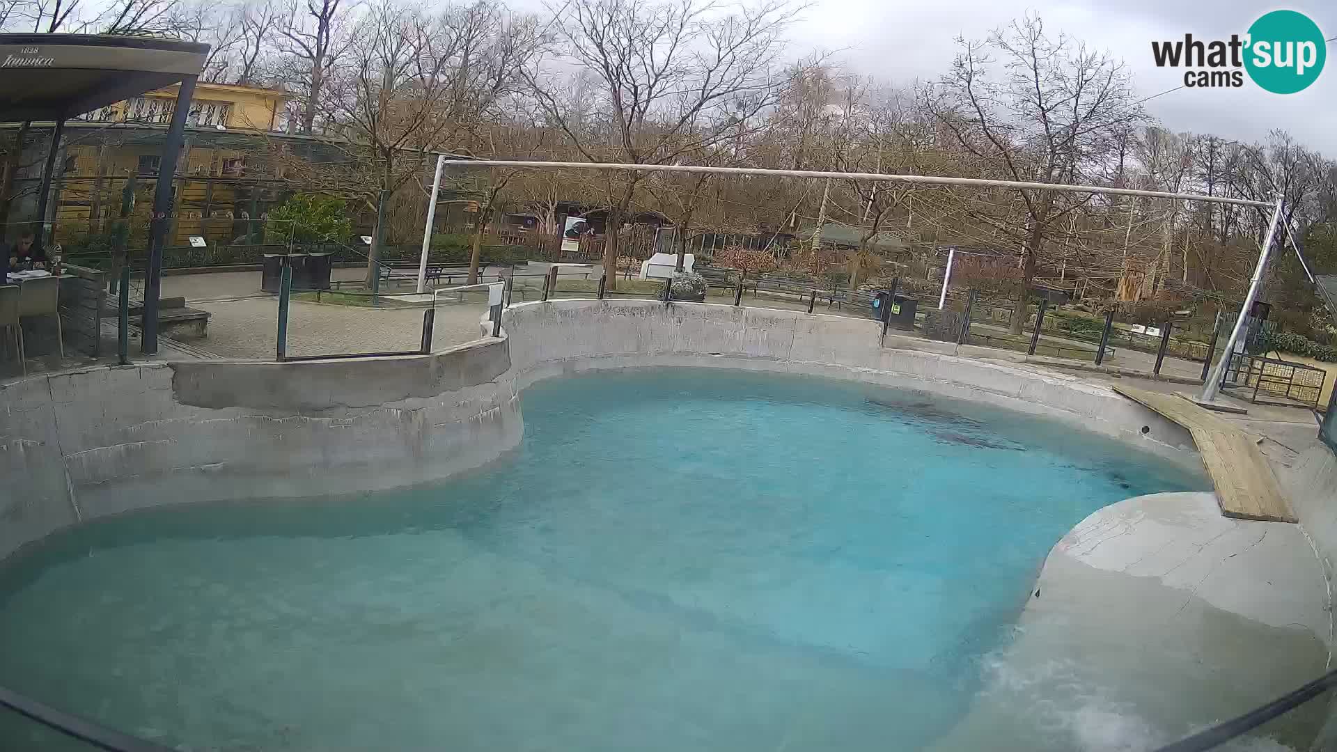 Zoo Zagreb –  León marino de California