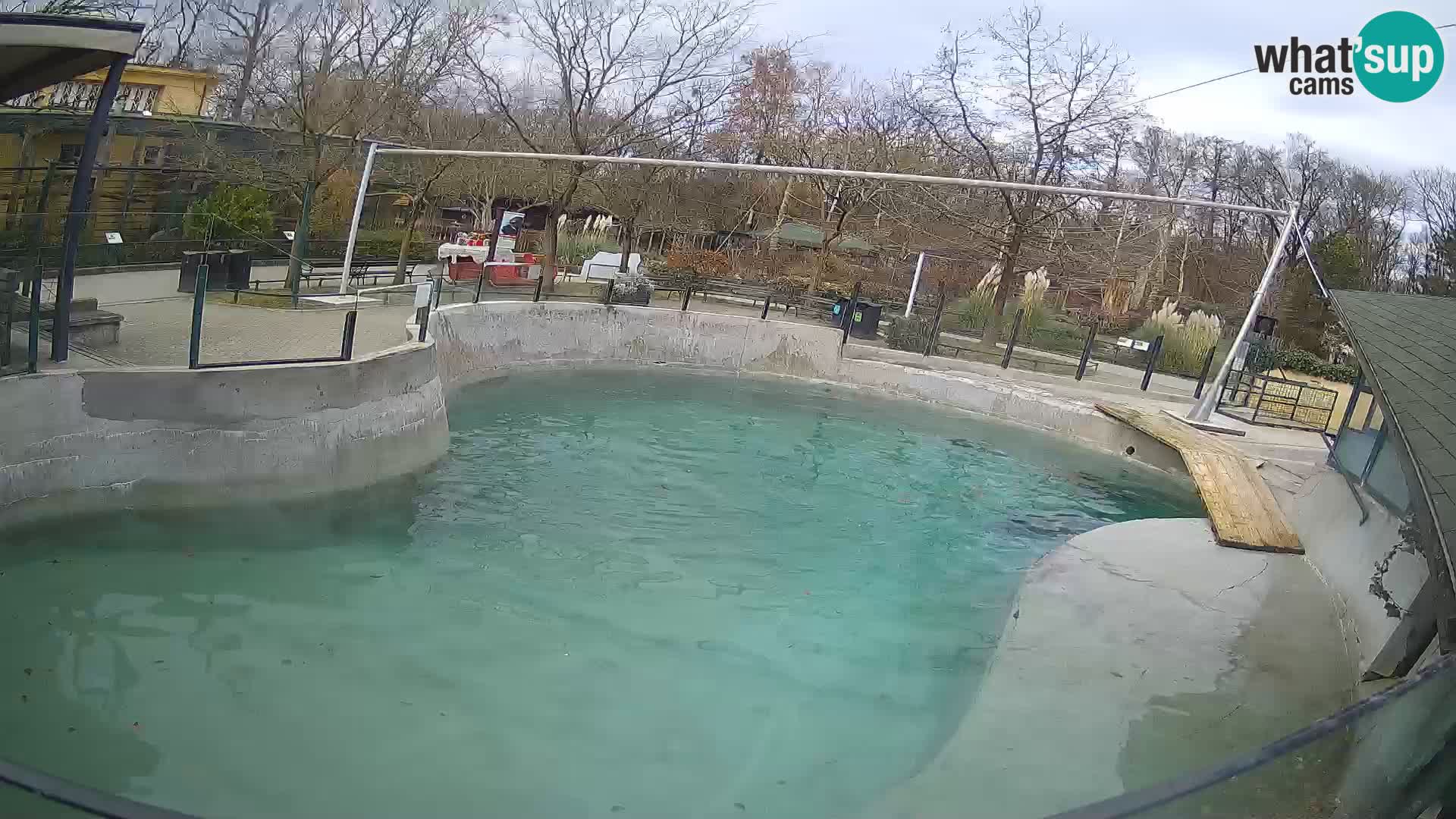 Zoo Zagreb – California Sea Lion