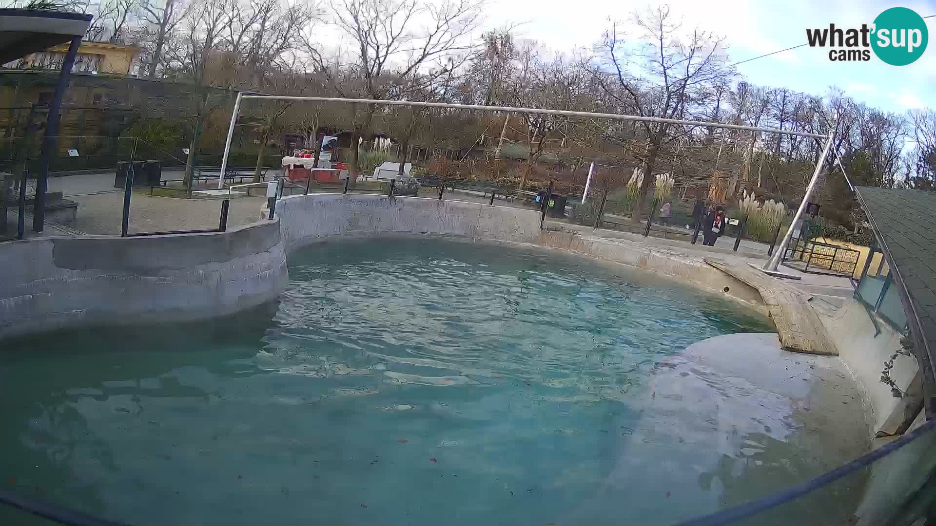 Zoo Zagreb – California Sea Lion