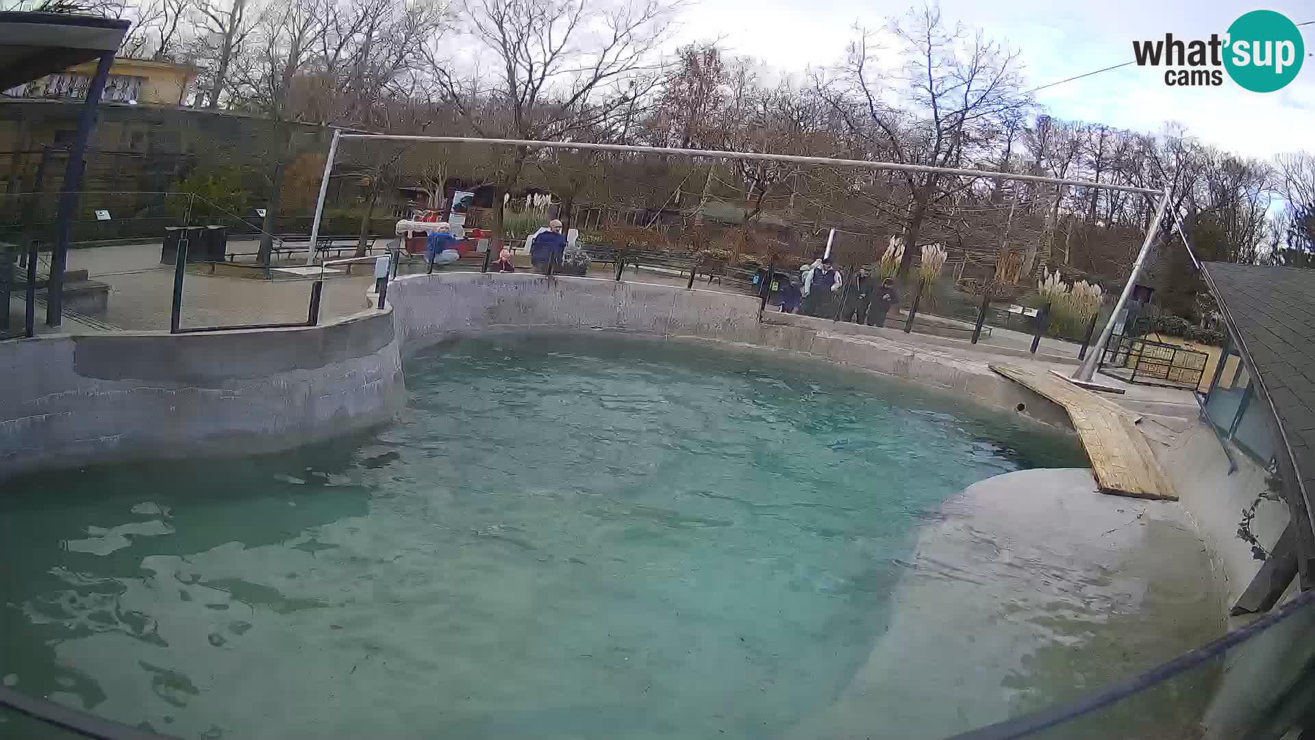 Zoo Zagreb – California Sea Lion