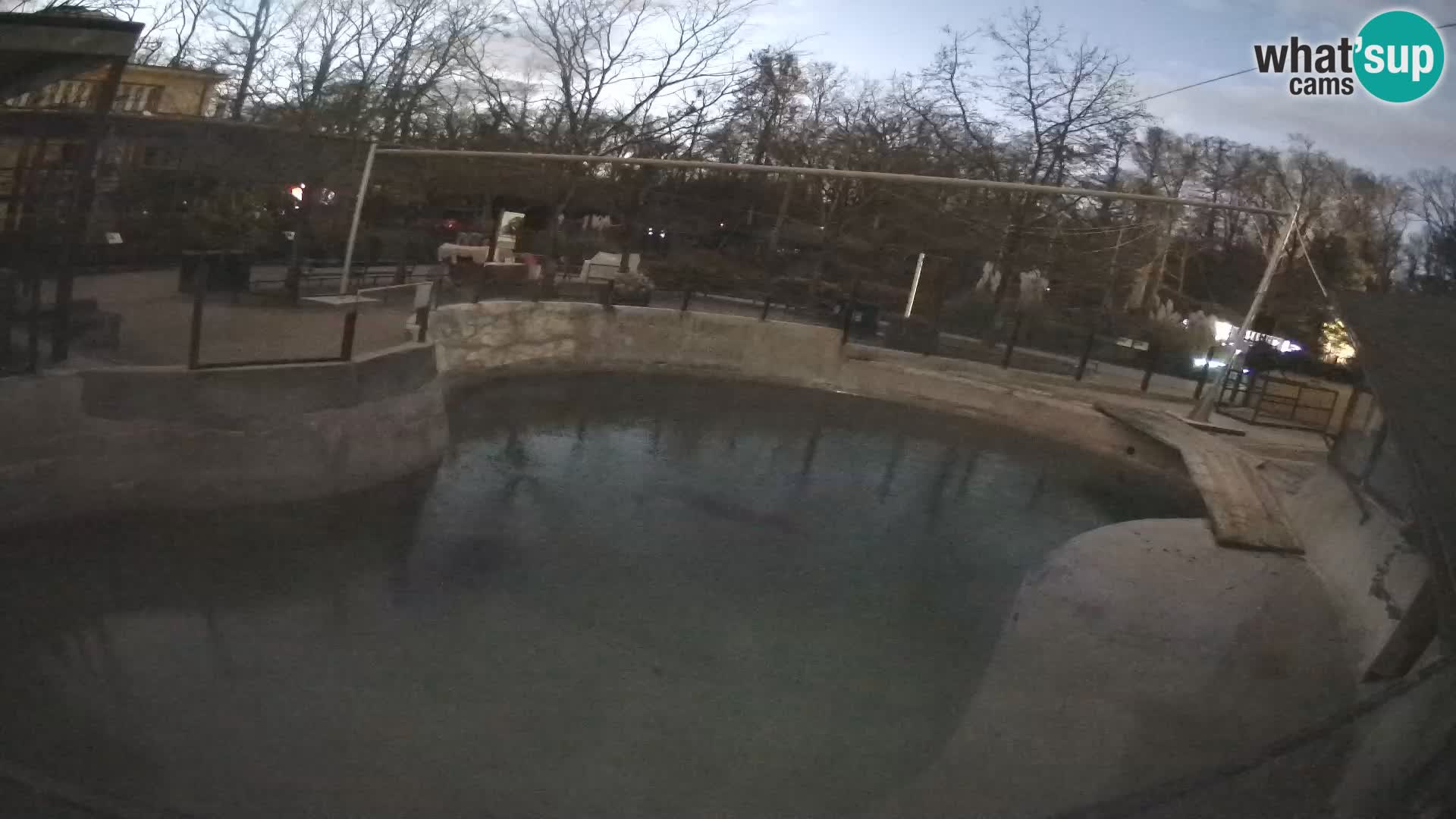 Zoo Zagreb –  León marino de California