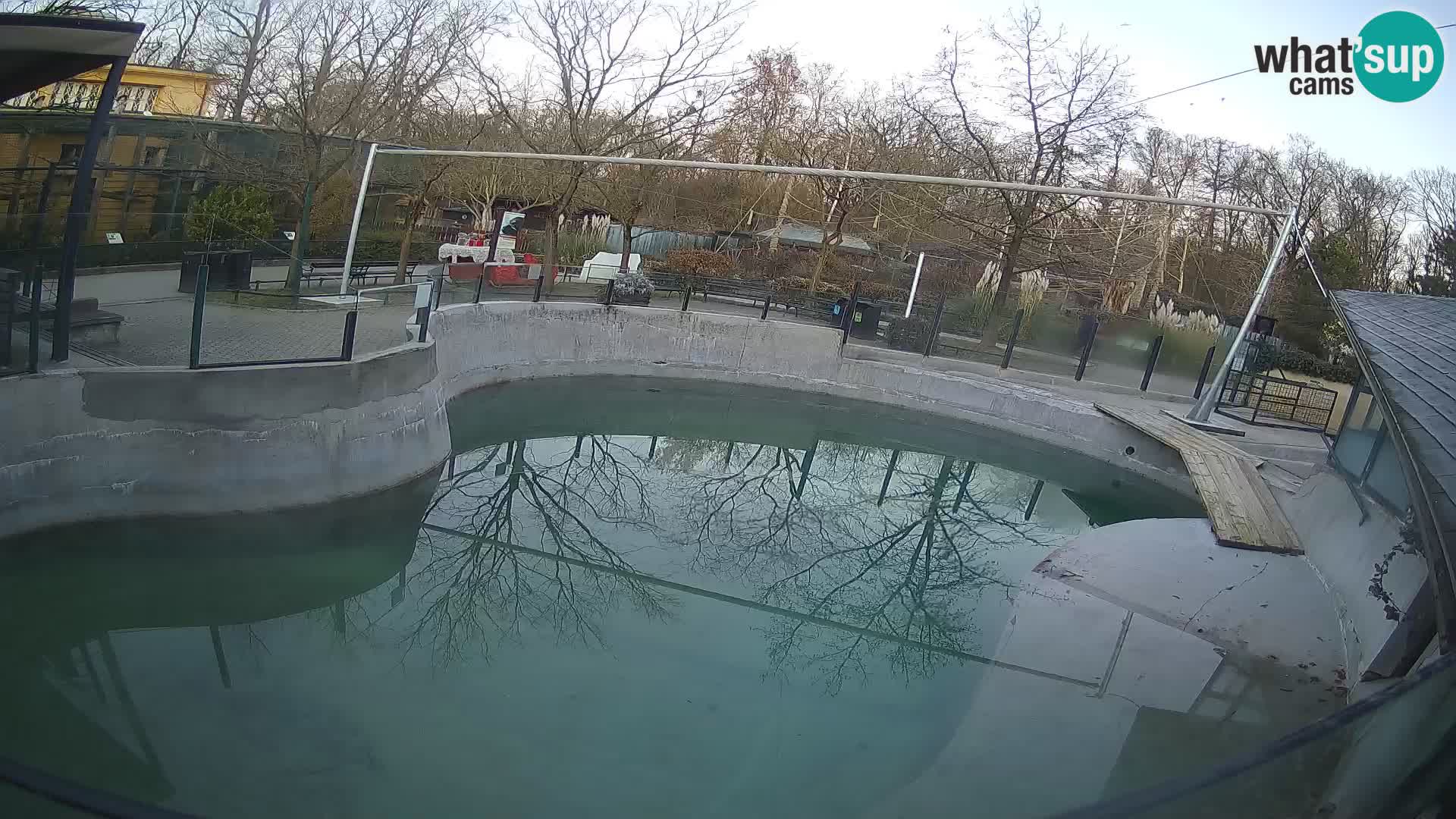 Zoo Zagreb – California Sea Lion