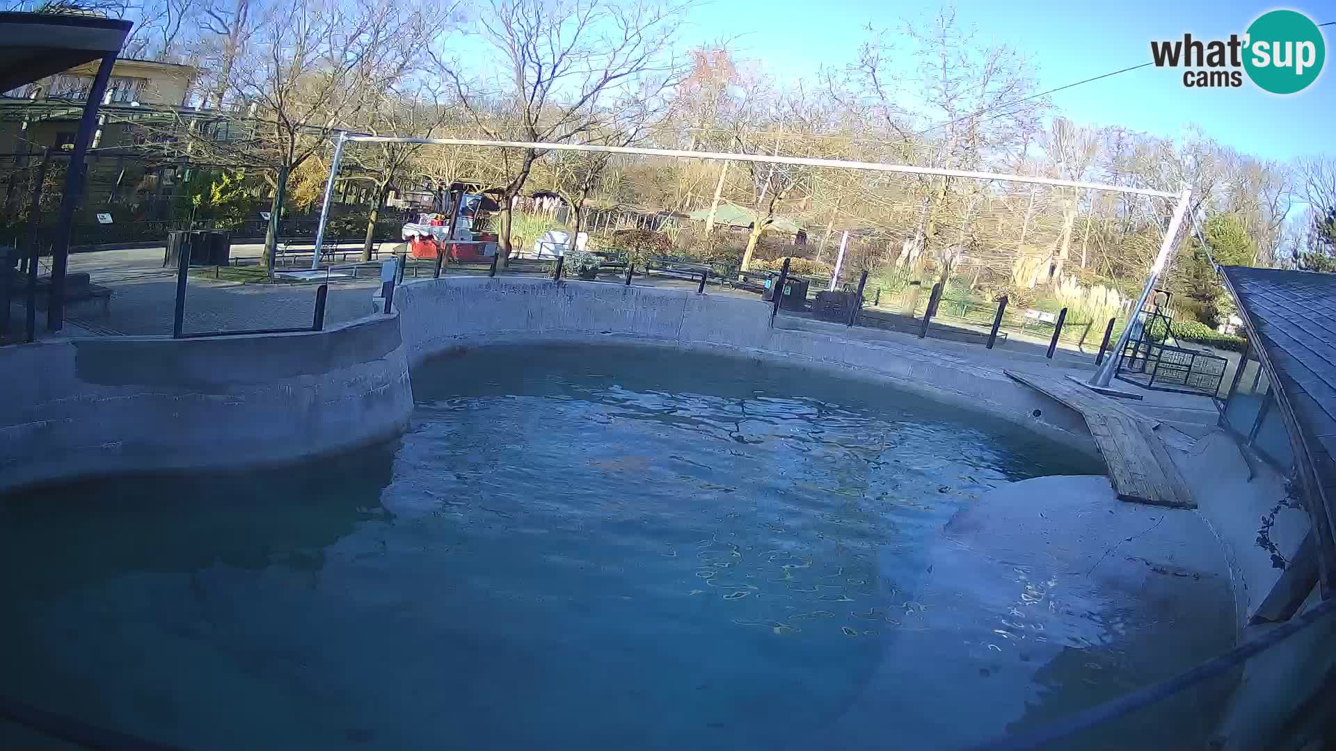 Zoo Zagreb – California Sea Lion