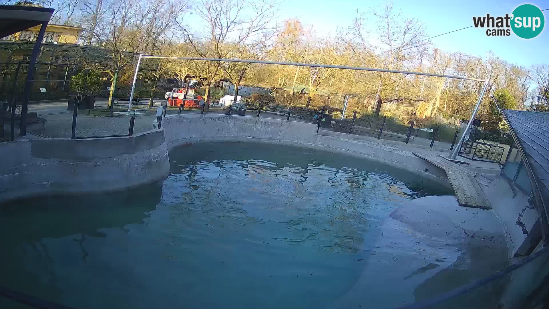 Zoo Zagreb – California Sea Lion