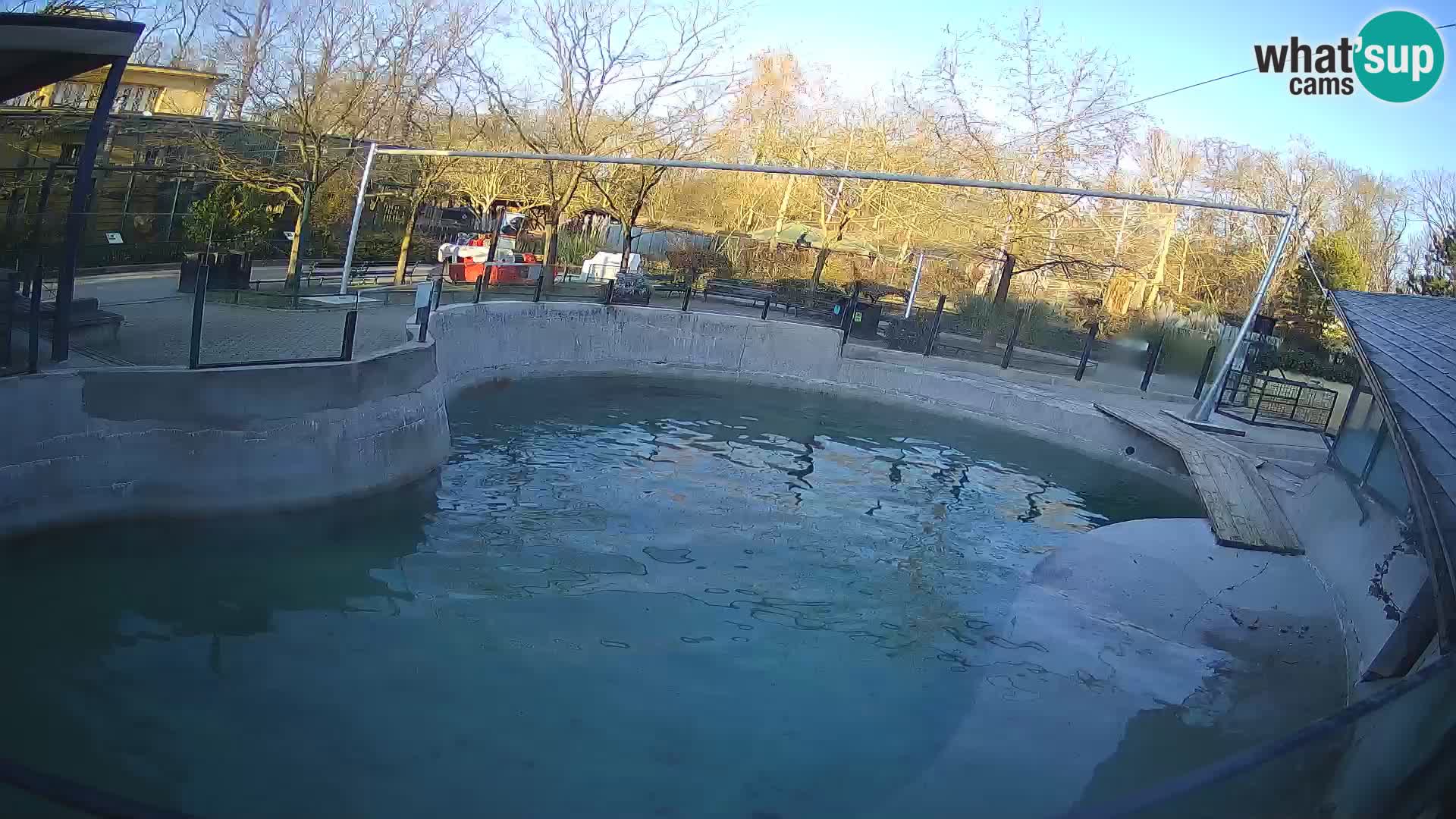 Zoo Zagreb – California Sea Lion