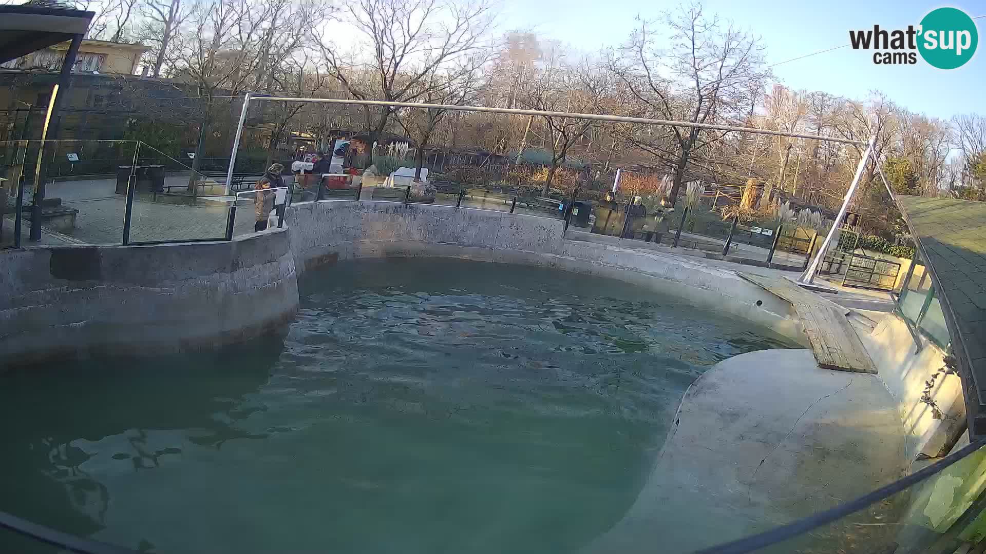 Zoo Zagreb –  León marino de California