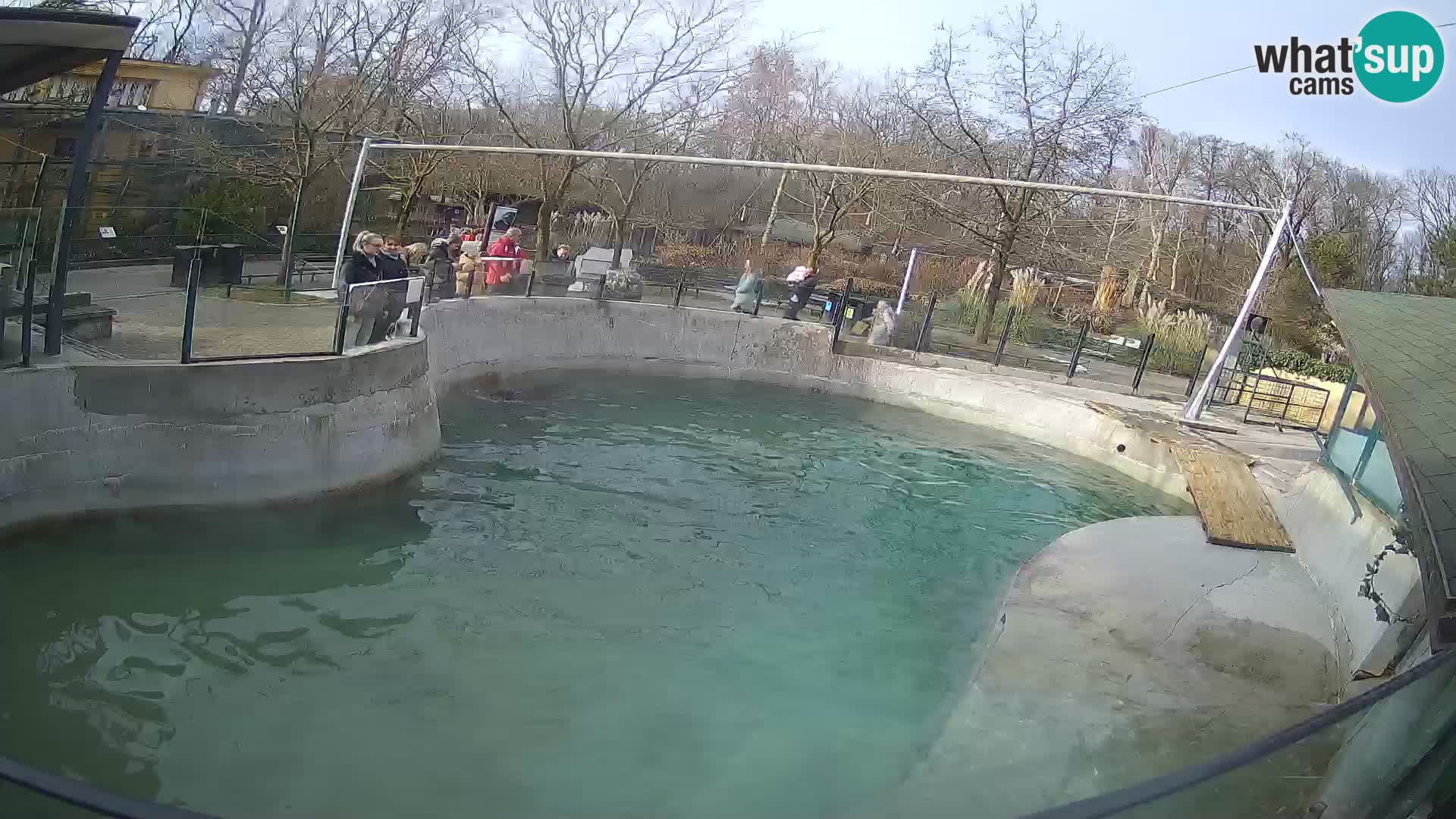 Zoo Zagreb – Kalifornijski morski lav