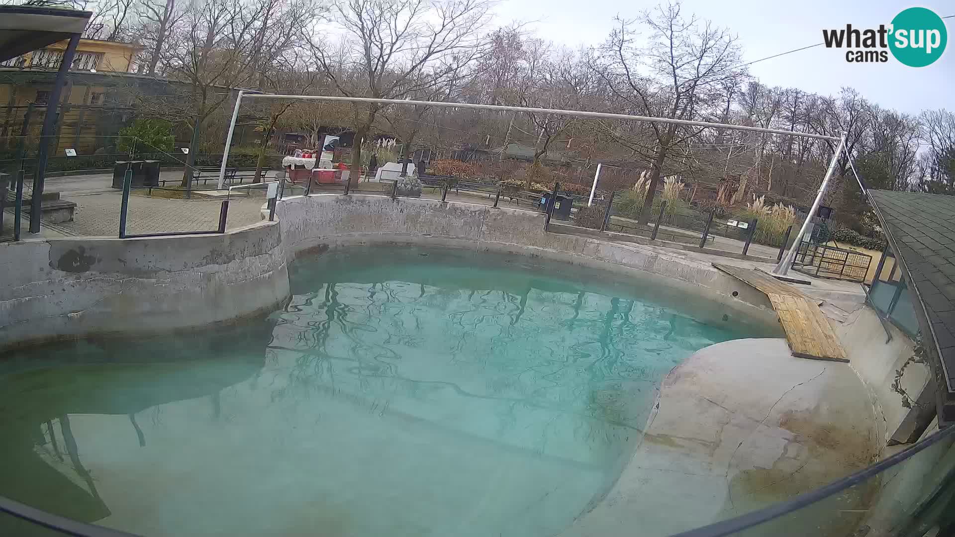 Zoo Zagreb – California Sea Lion