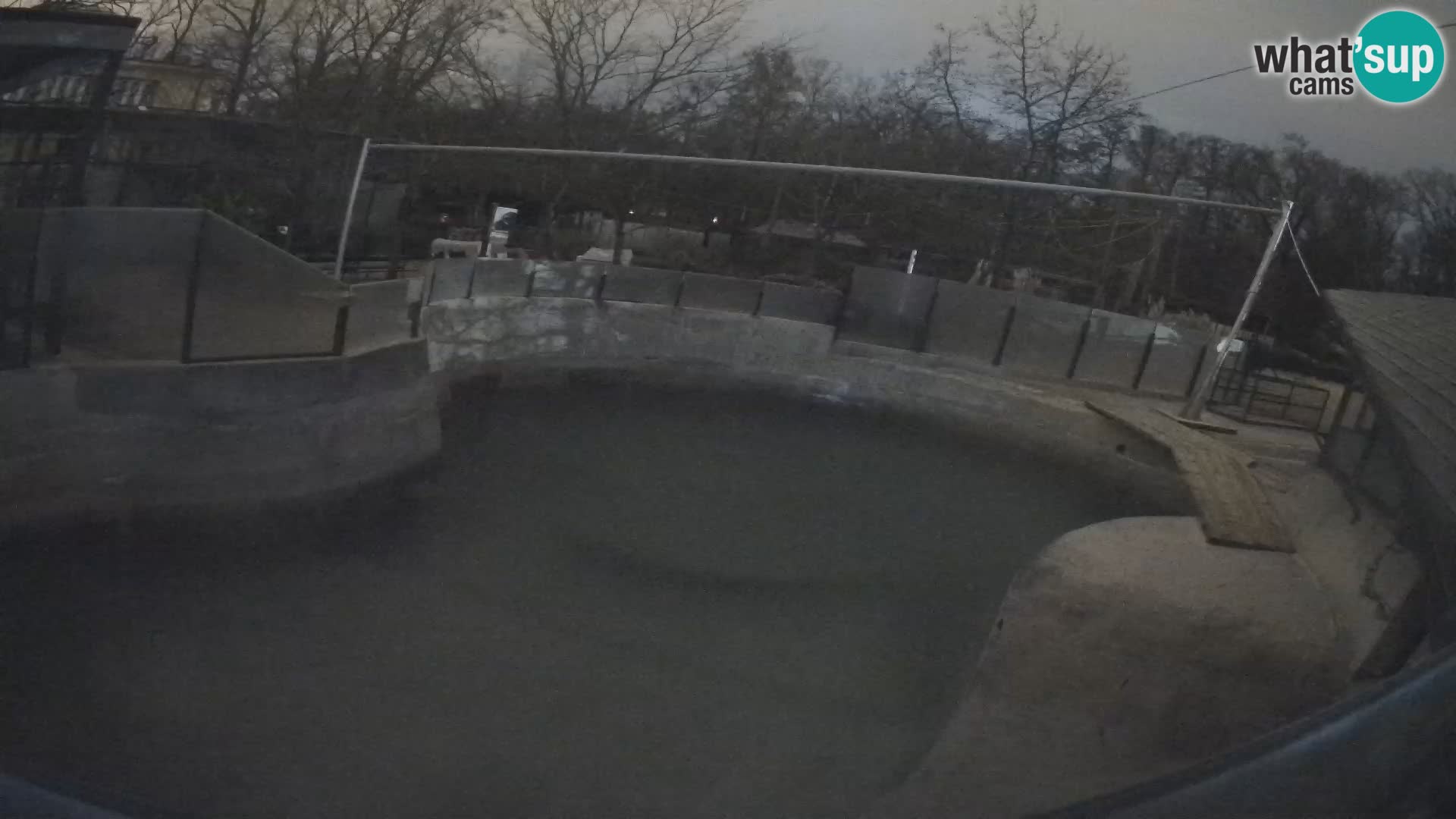 Zoo Zagreb – California Sea Lion